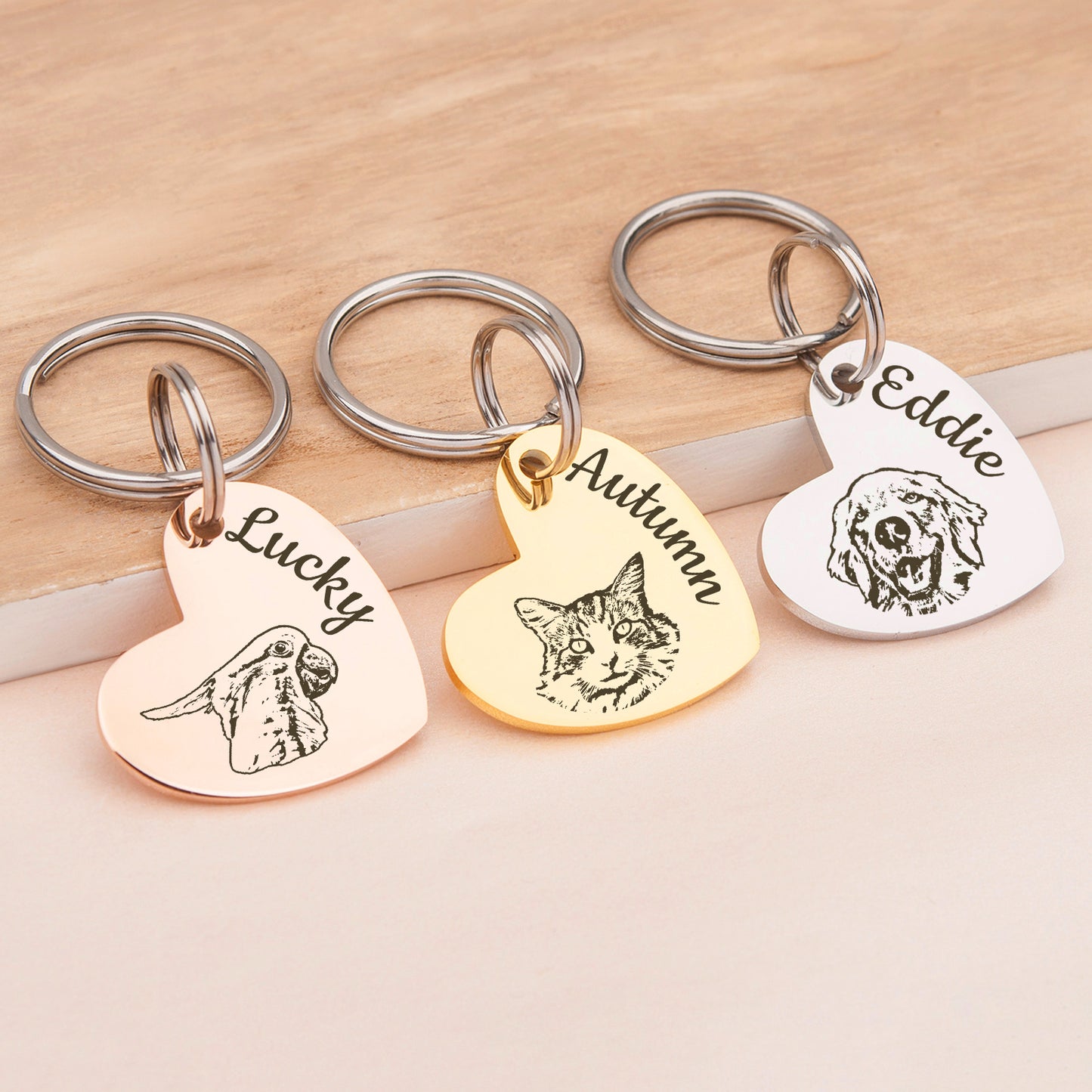 Heart Shaped Stainless Steel Pet Portrait Dog ID Pet Tag