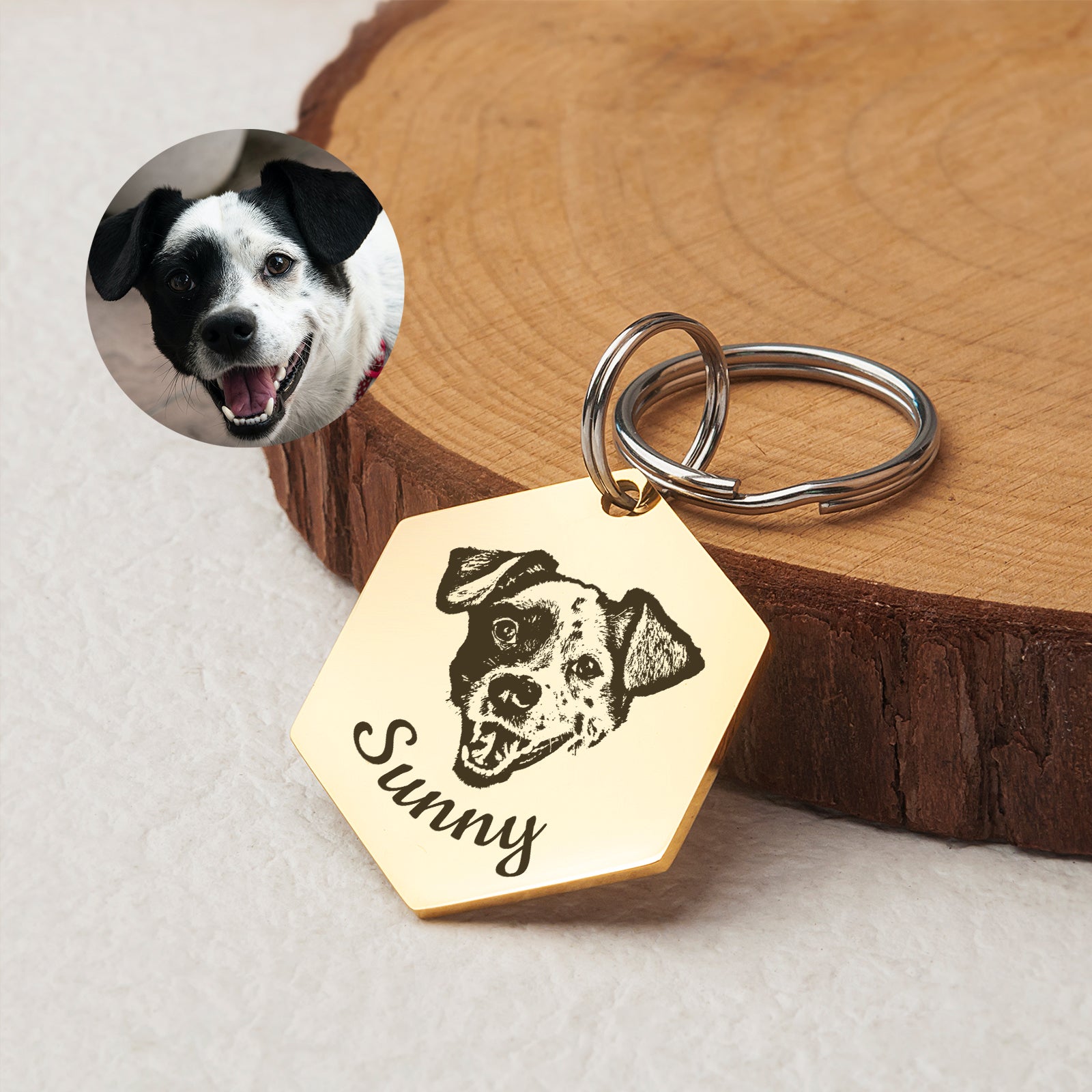 Pet Portrait Hexagon Dog ID Pet Tag