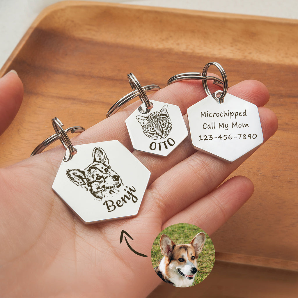 Pet Portrait Hexagon Dog ID Pet Tag