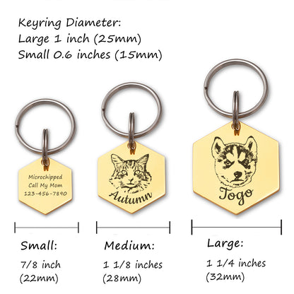 Hexagon Shaped Stainless Steel Pet Portrait Dog ID Pet Tag