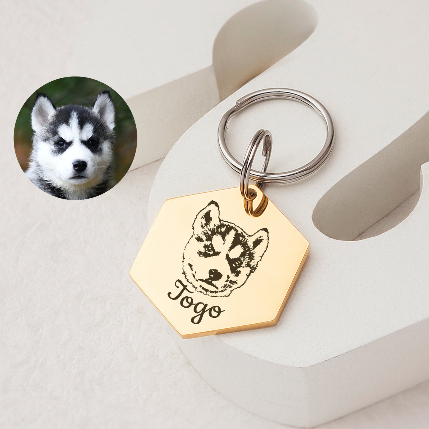 Hexagon Shaped Stainless Steel Pet Portrait Dog ID Pet Tag