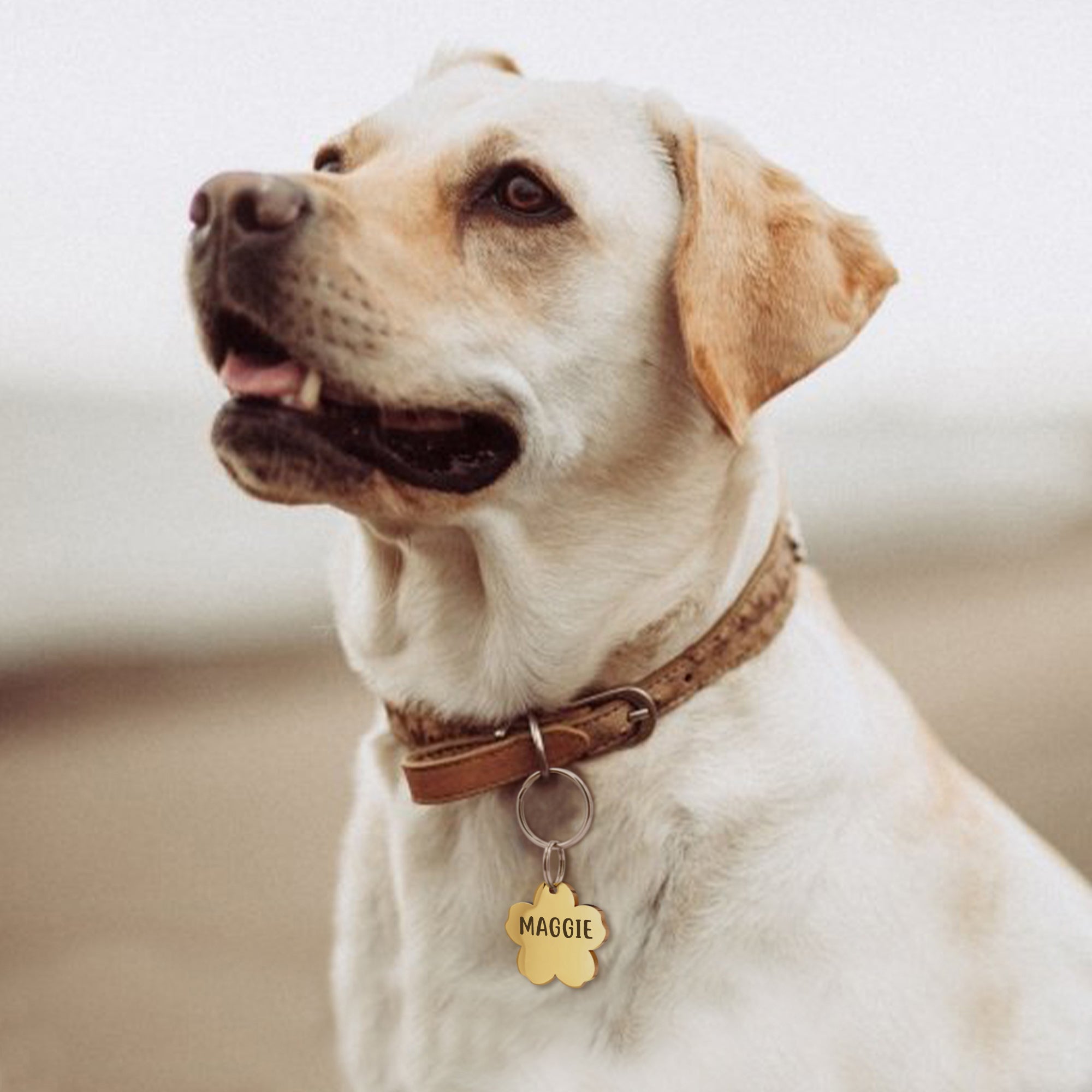 Cherry Blossom Pet ID Dog Tag