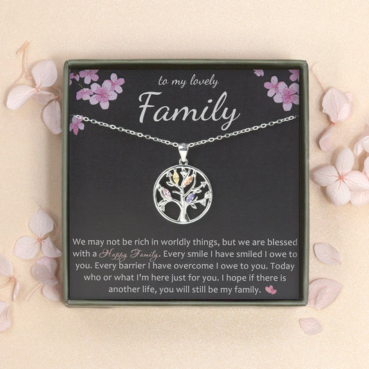 "To My Lovely Family" Card and Sterling Silver Necklace