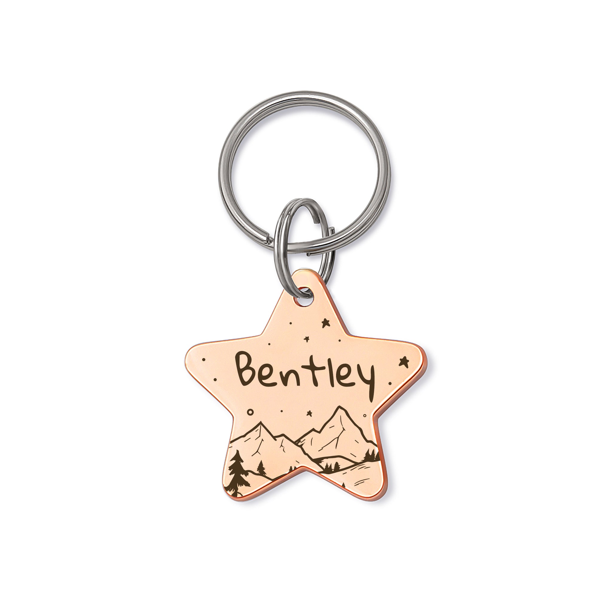 Star Shaped Mountain Starry Sky Themed Pet Tag