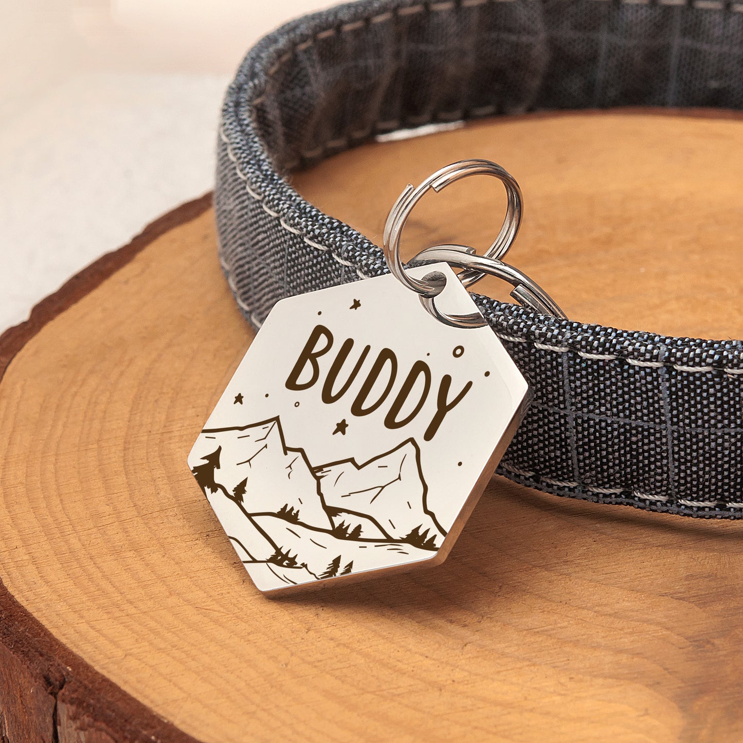 Personalized Mountain Starry Sky Hexagon Shaped Pet ID Dog Tag for Cat or Dog