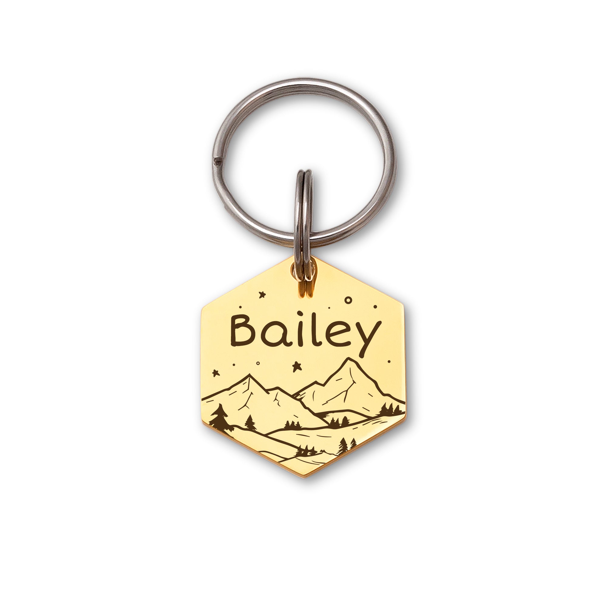 Mountain Starry Sky Hexagon Pet ID Dog Tag