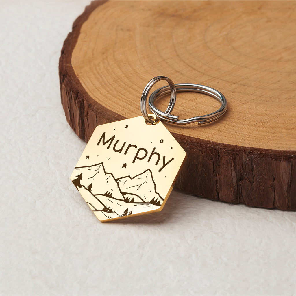 Mountain Starry Sky Hexagon Pet ID Dog Tag
