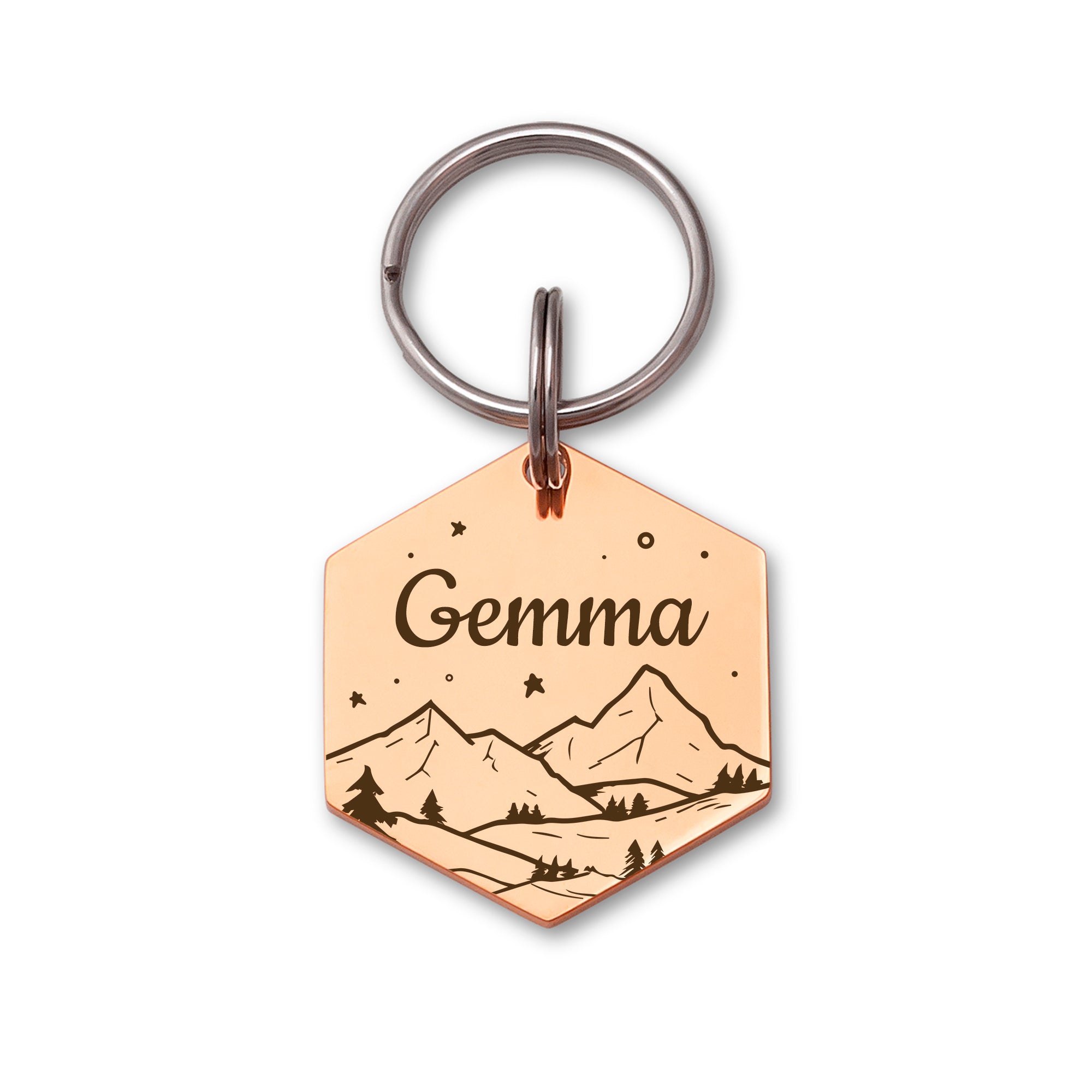 Mountain Starry Sky Hexagon Pet ID Dog Tag