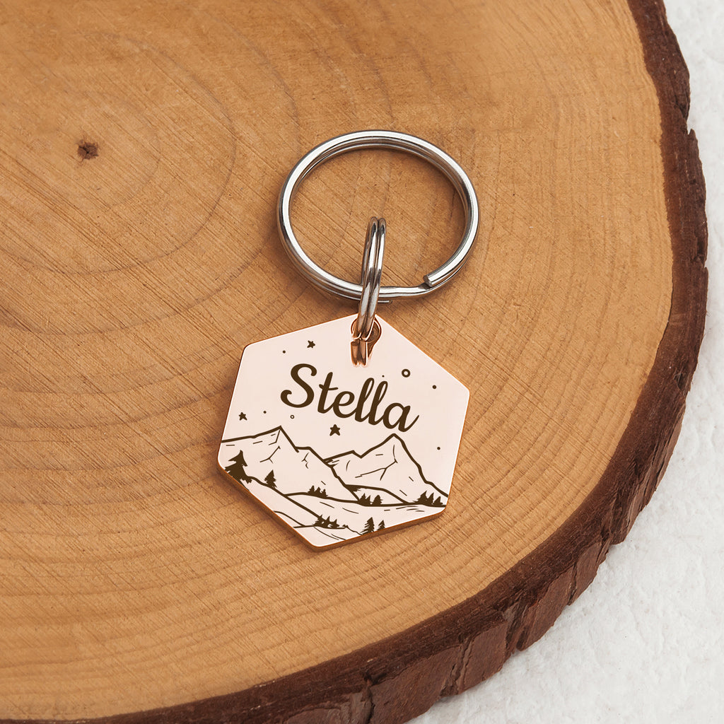 Mountain Starry Sky Hexagon Pet ID Dog Tag