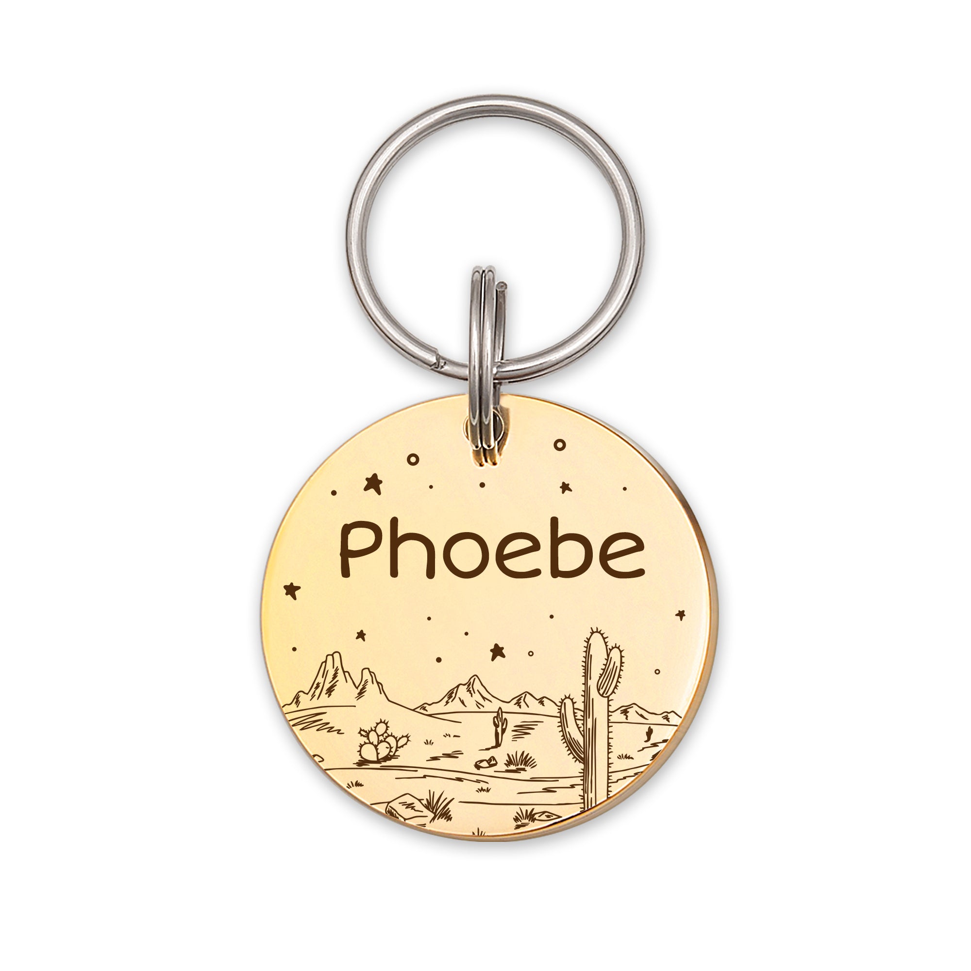 Desert Starry Sky Round Pet ID Dog Tag