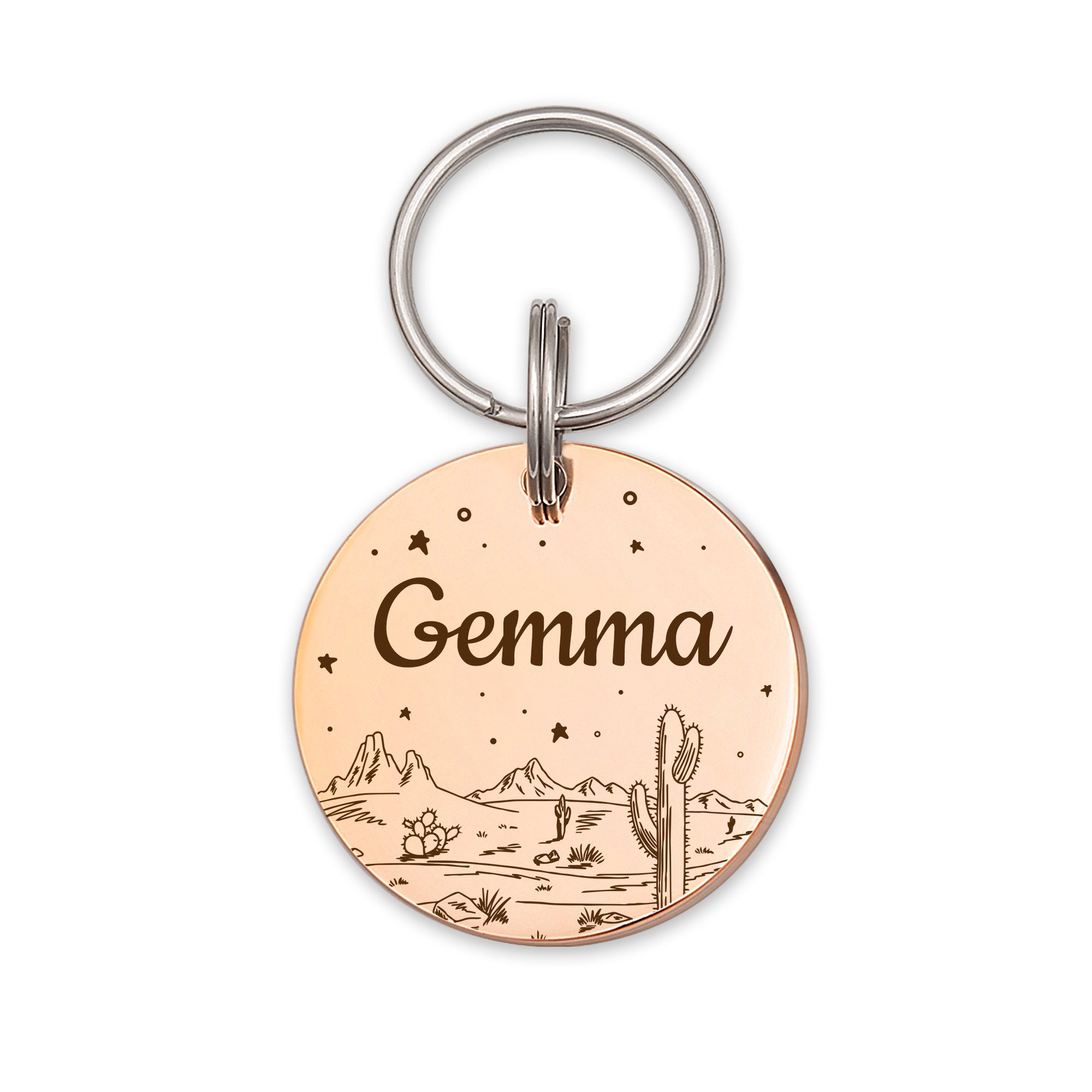 Desert Starry Sky Round Pet ID Dog Tag