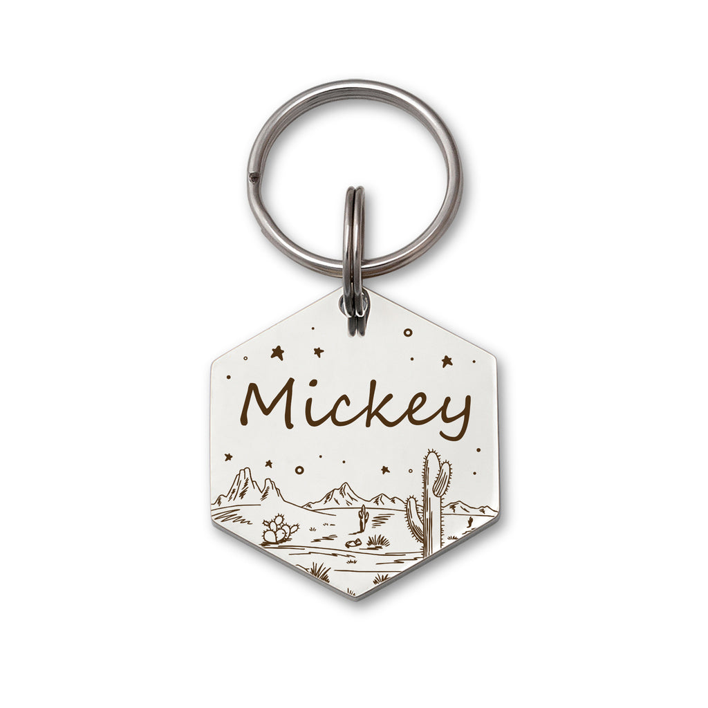 Hexagon Desert Starry Sky Pet ID Dog Tag