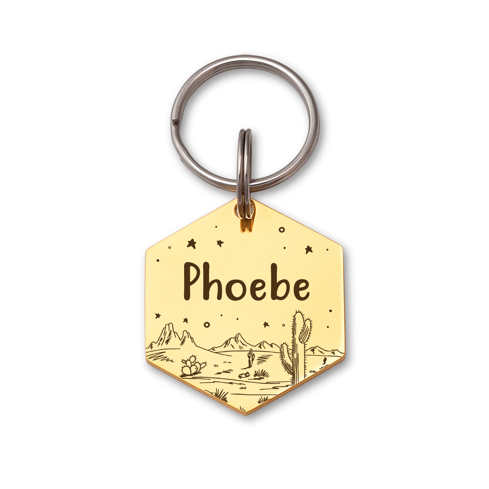 Hexagon Desert Starry Sky Pet ID Dog Tag