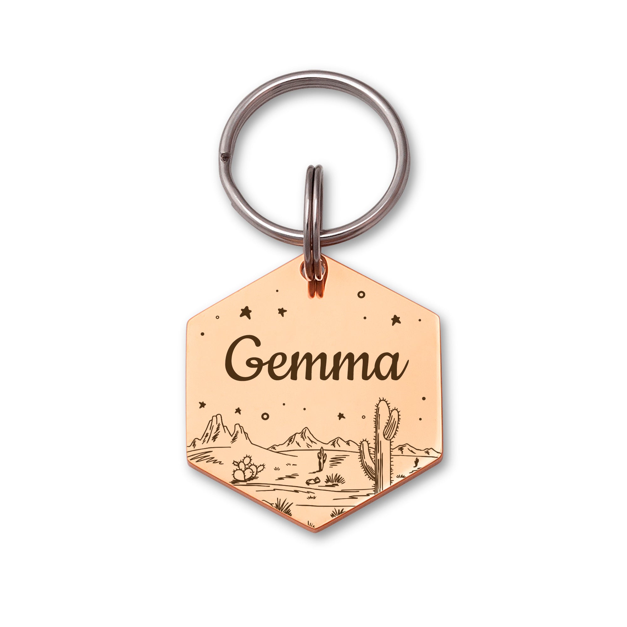 Hexagon Desert Starry Sky Pet ID Dog Tag