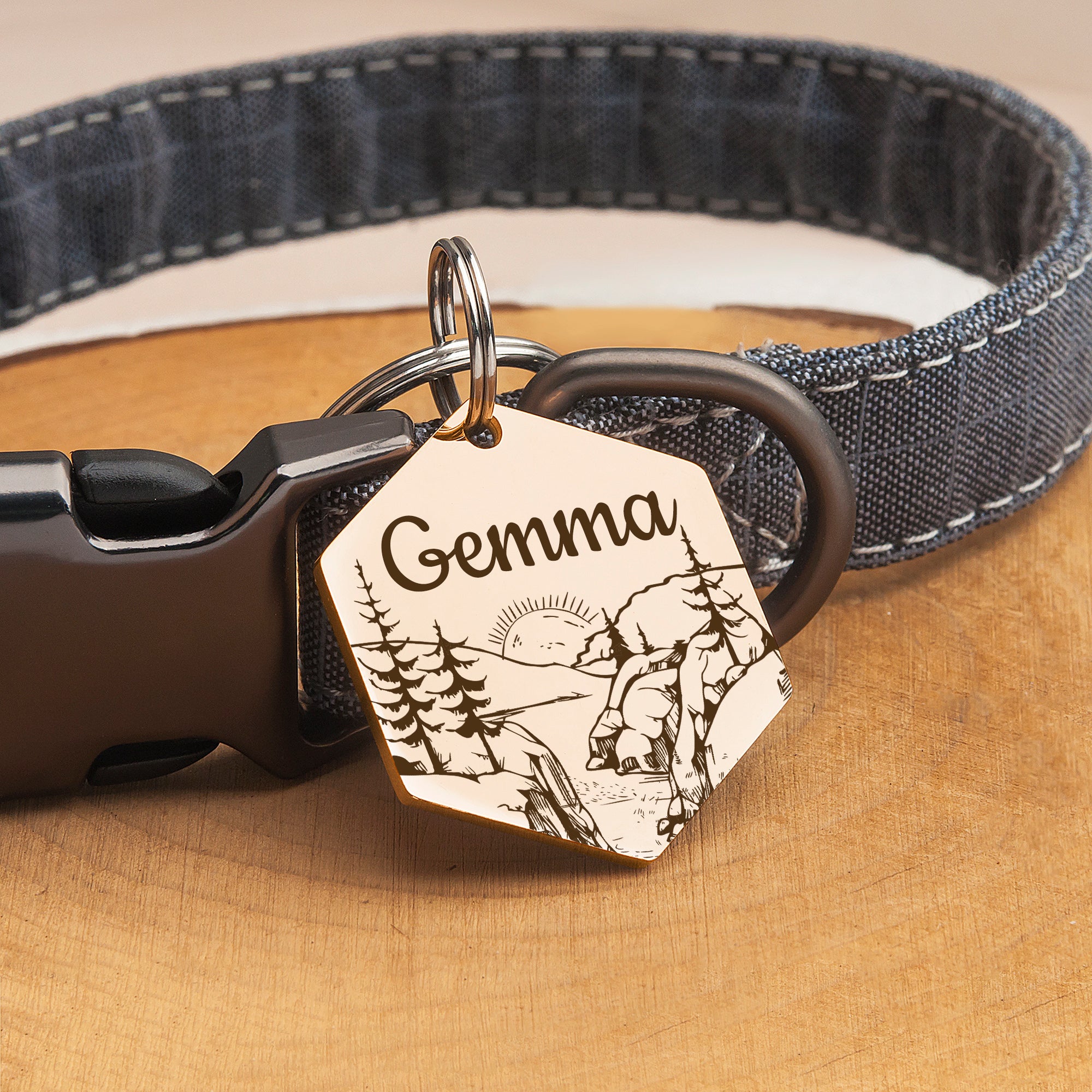 Hexagon Mountain Sunrise Pet ID Dog Tag