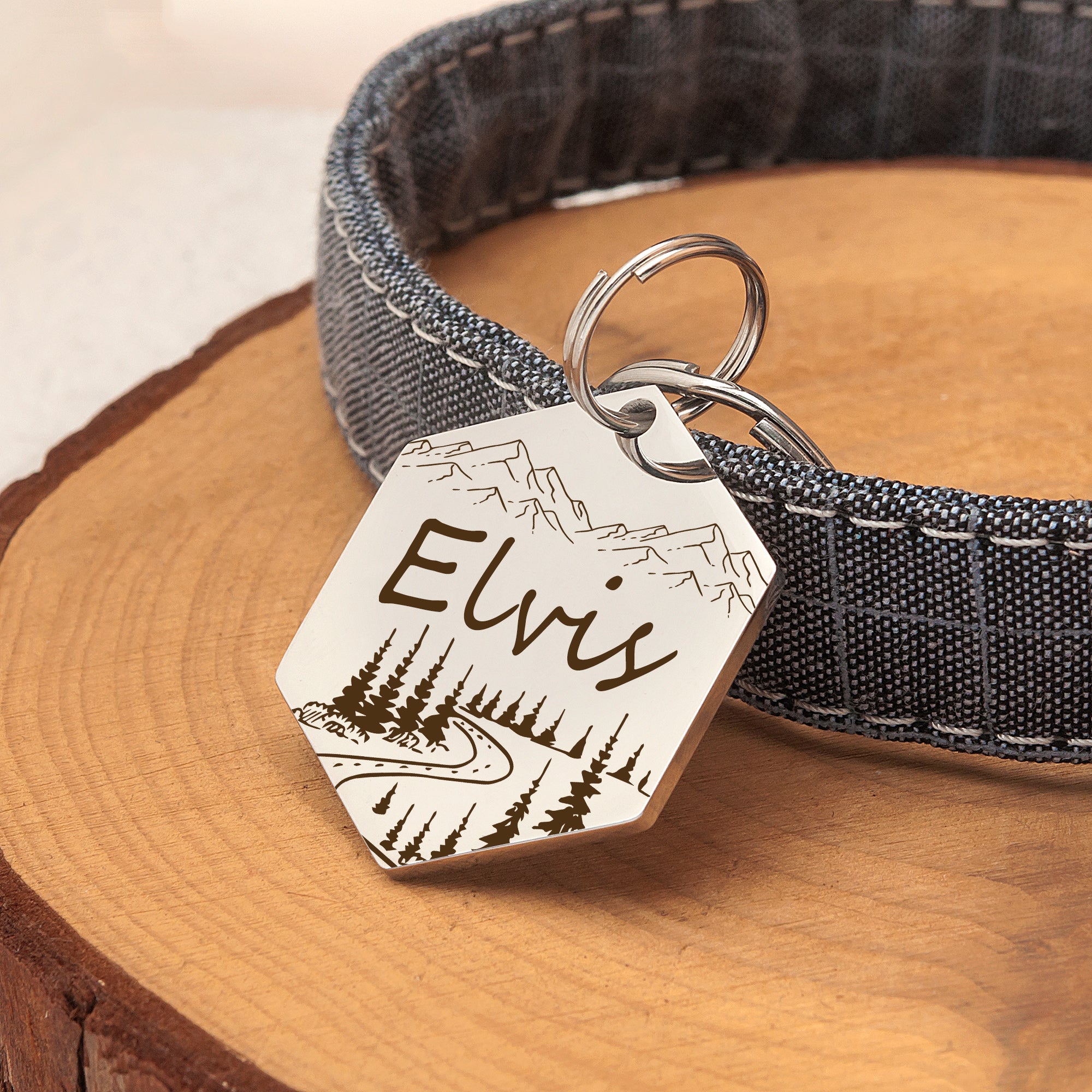 Hexagon Mountain Road  Pet ID Dog Tag