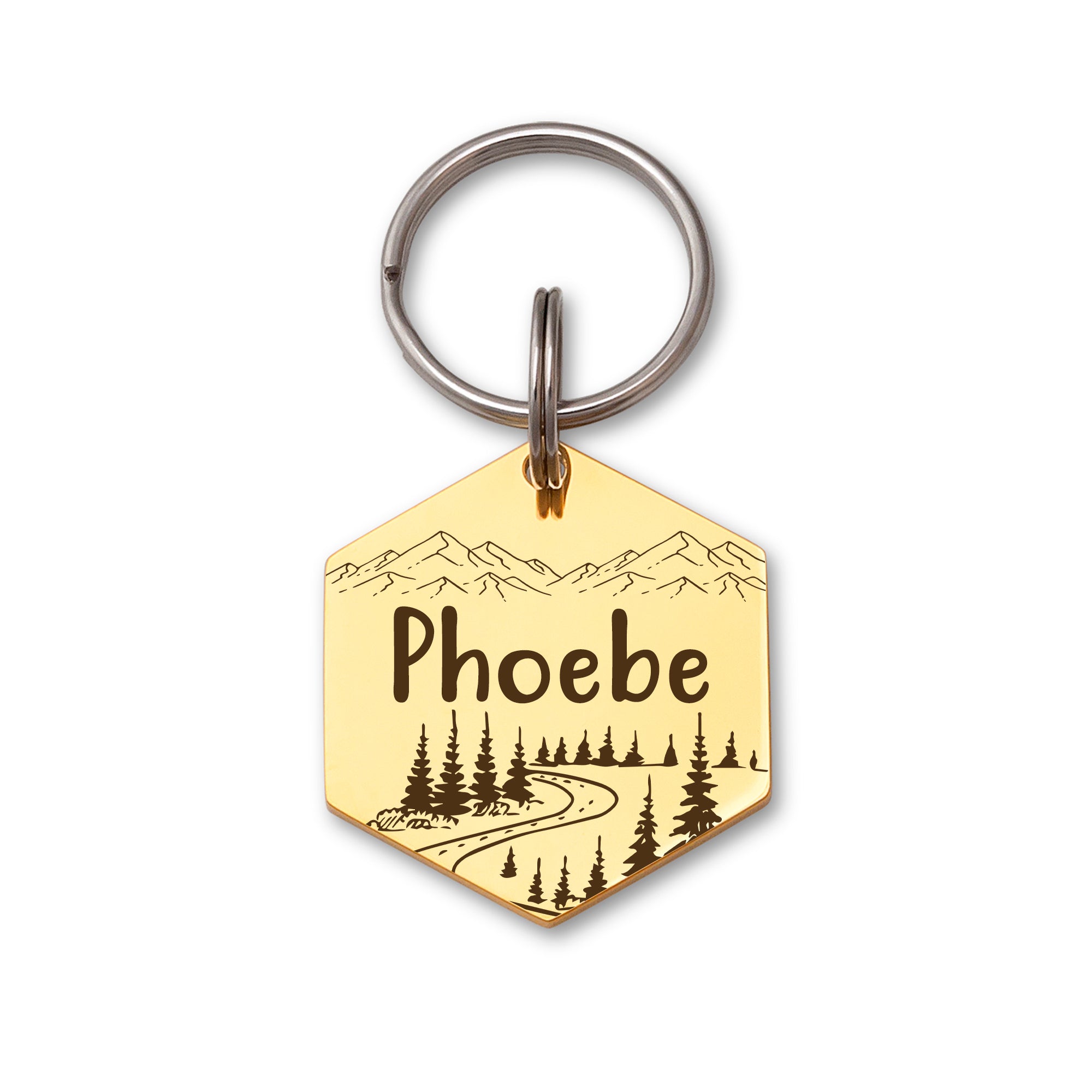 Hexagon Mountain Road  Pet ID Dog Tag