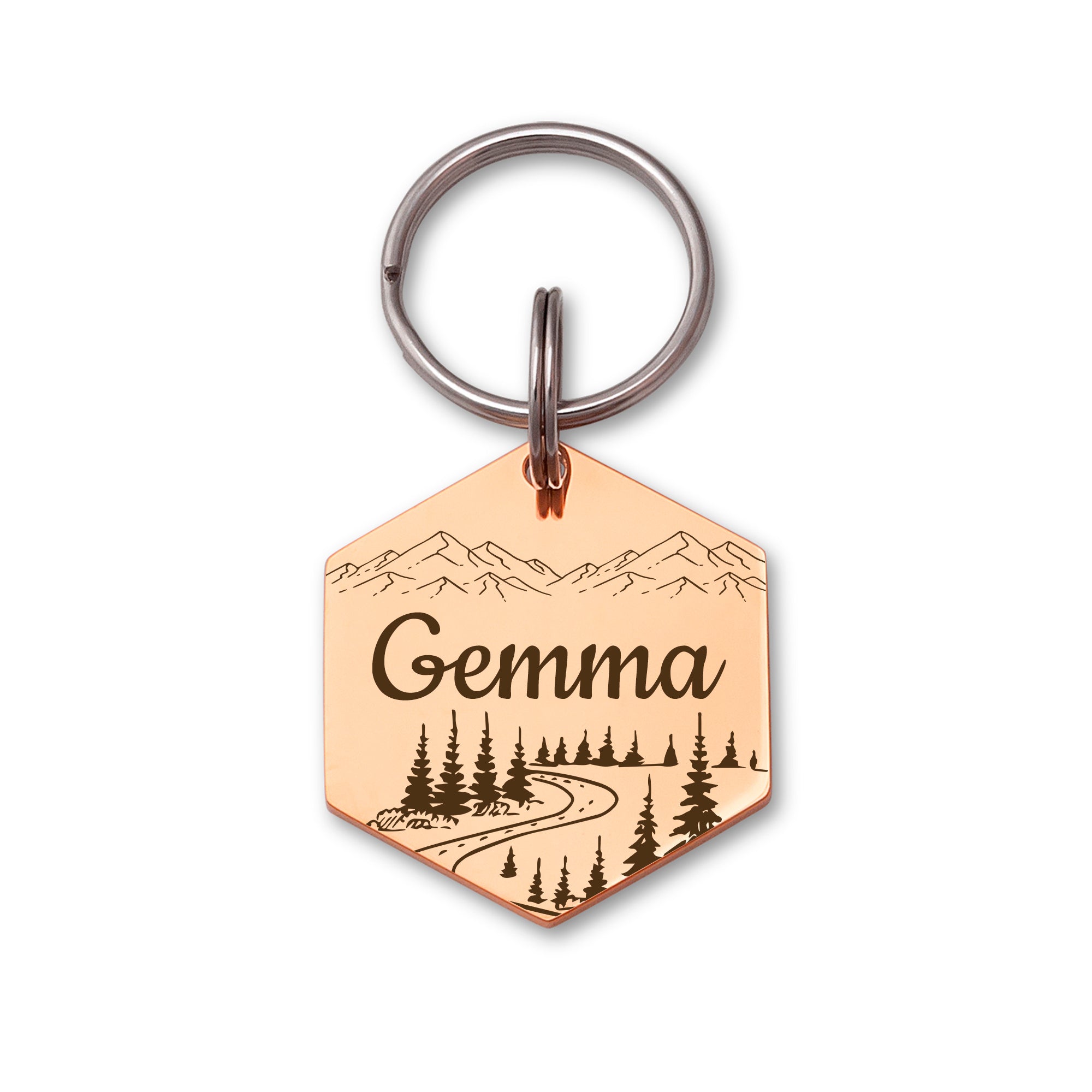 Hexagon Mountain Road  Pet ID Dog Tag