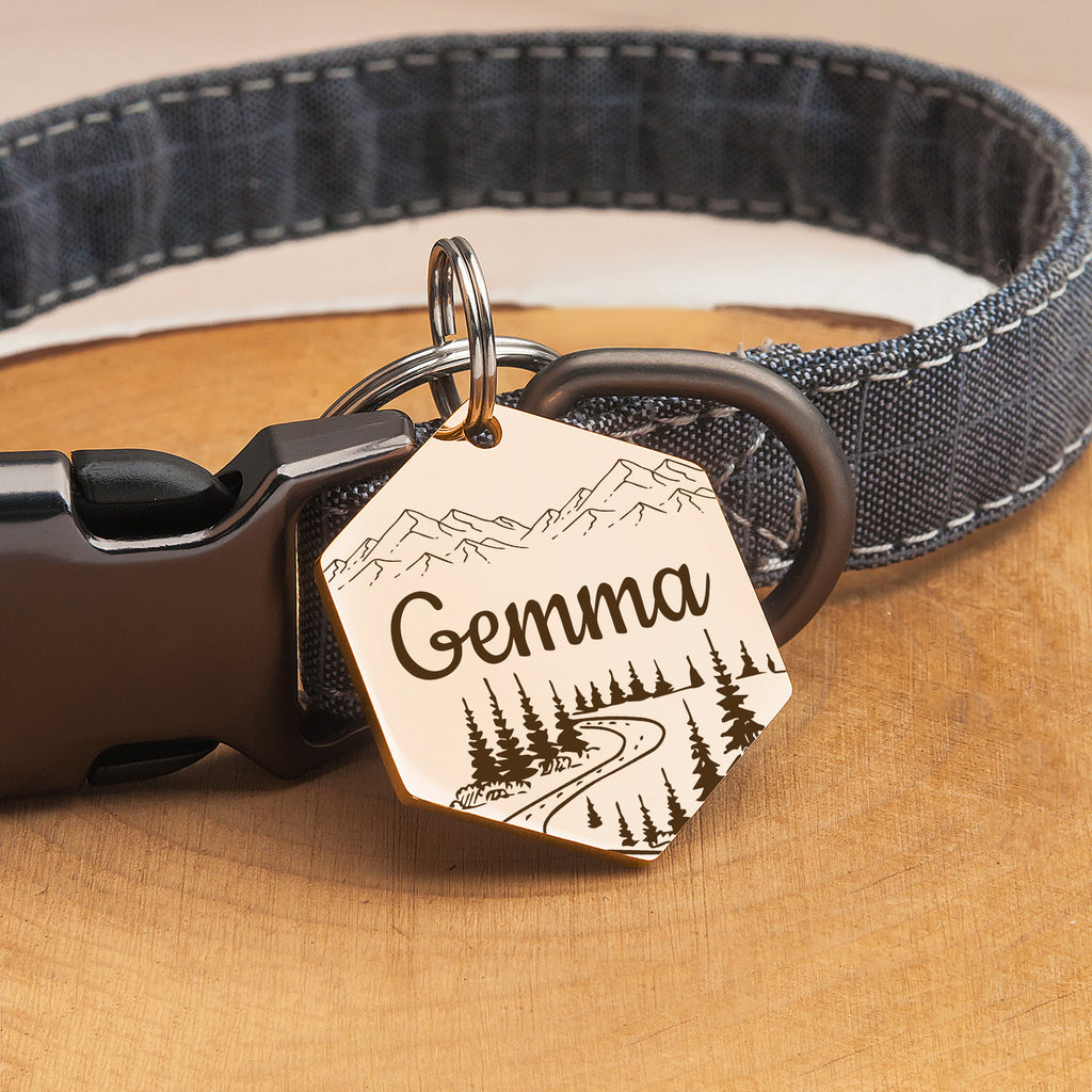 Hexagon Mountain Road  Pet ID Dog Tag