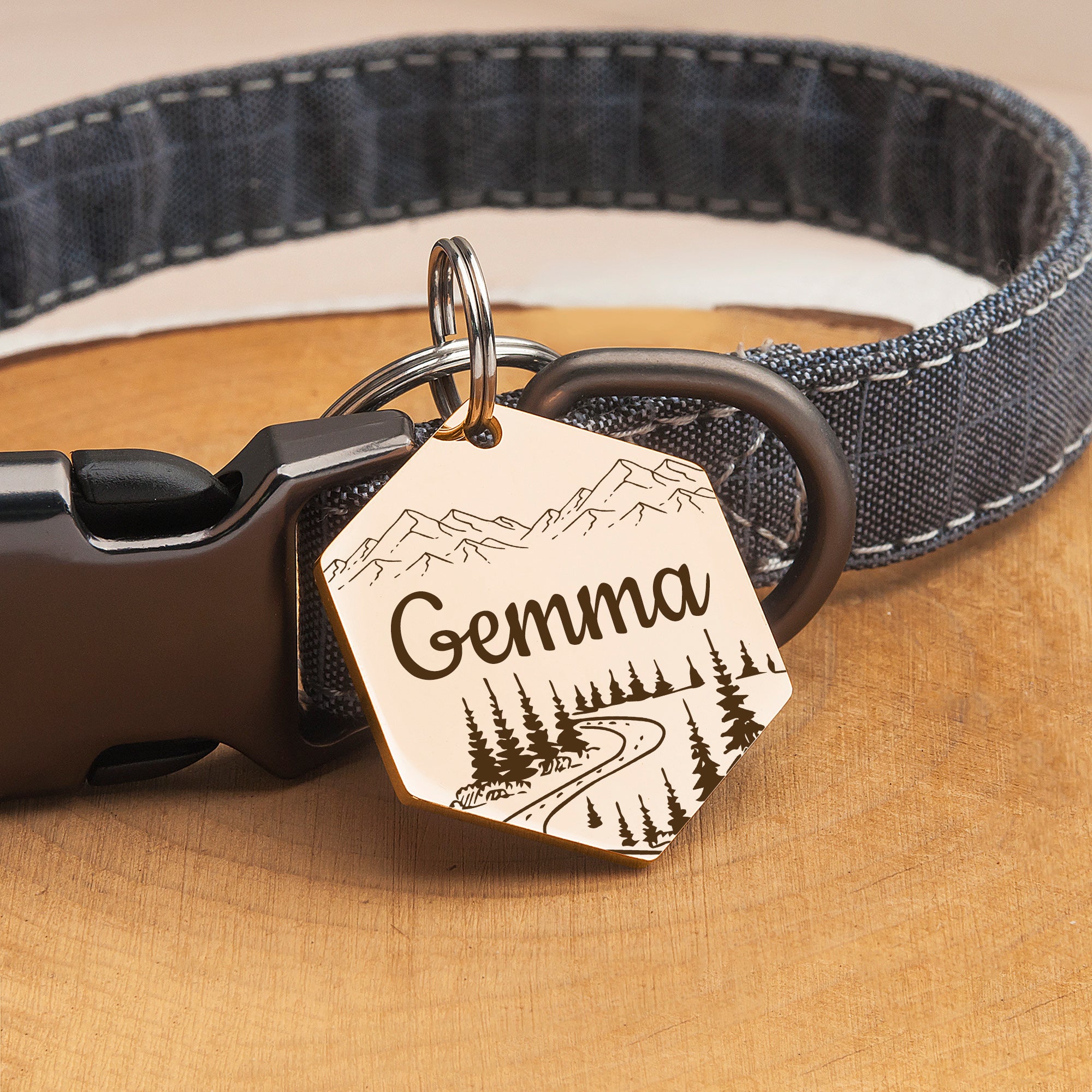 Hexagon Mountain Road  Pet ID Dog Tag