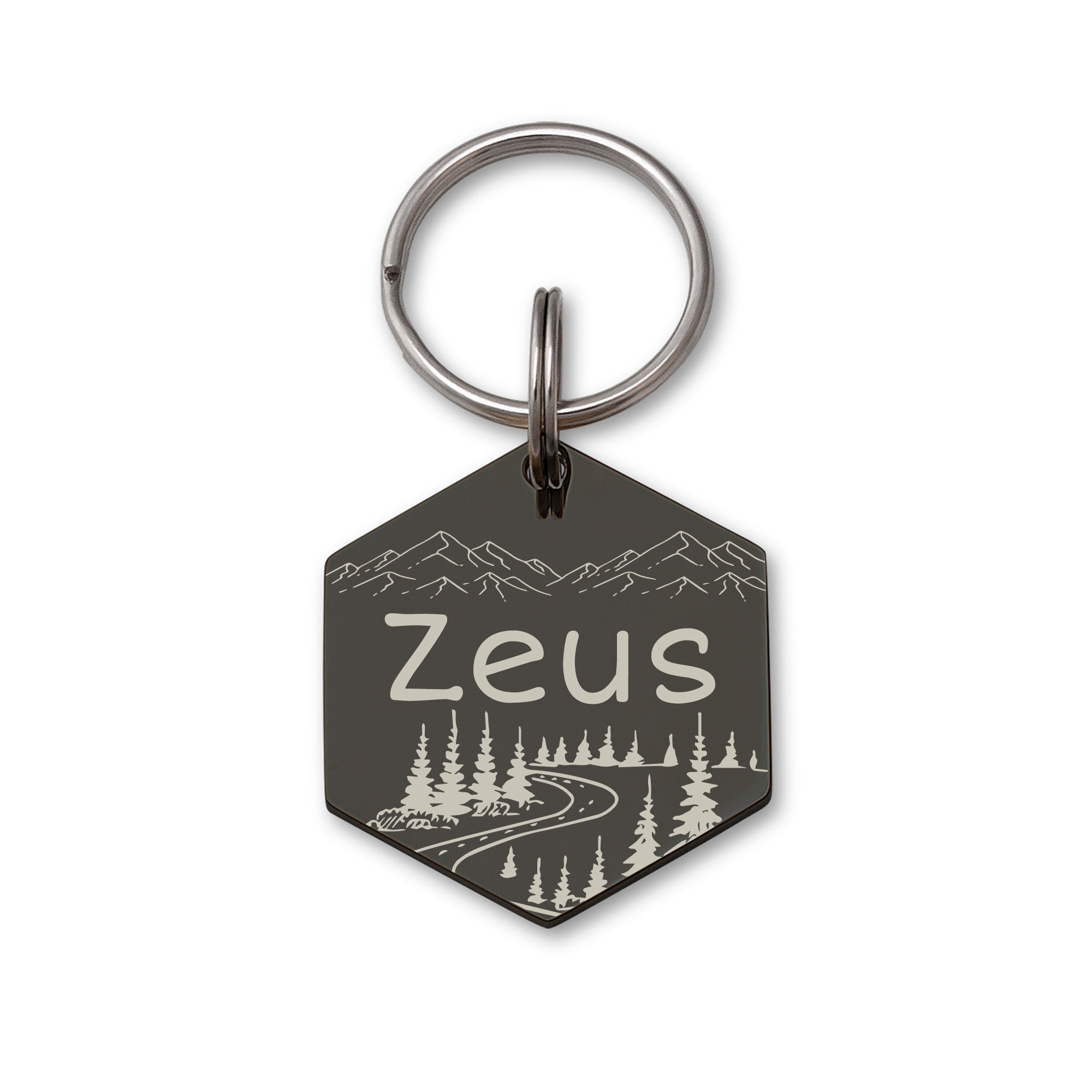 Hexagon Mountain Road  Pet ID Dog Tag