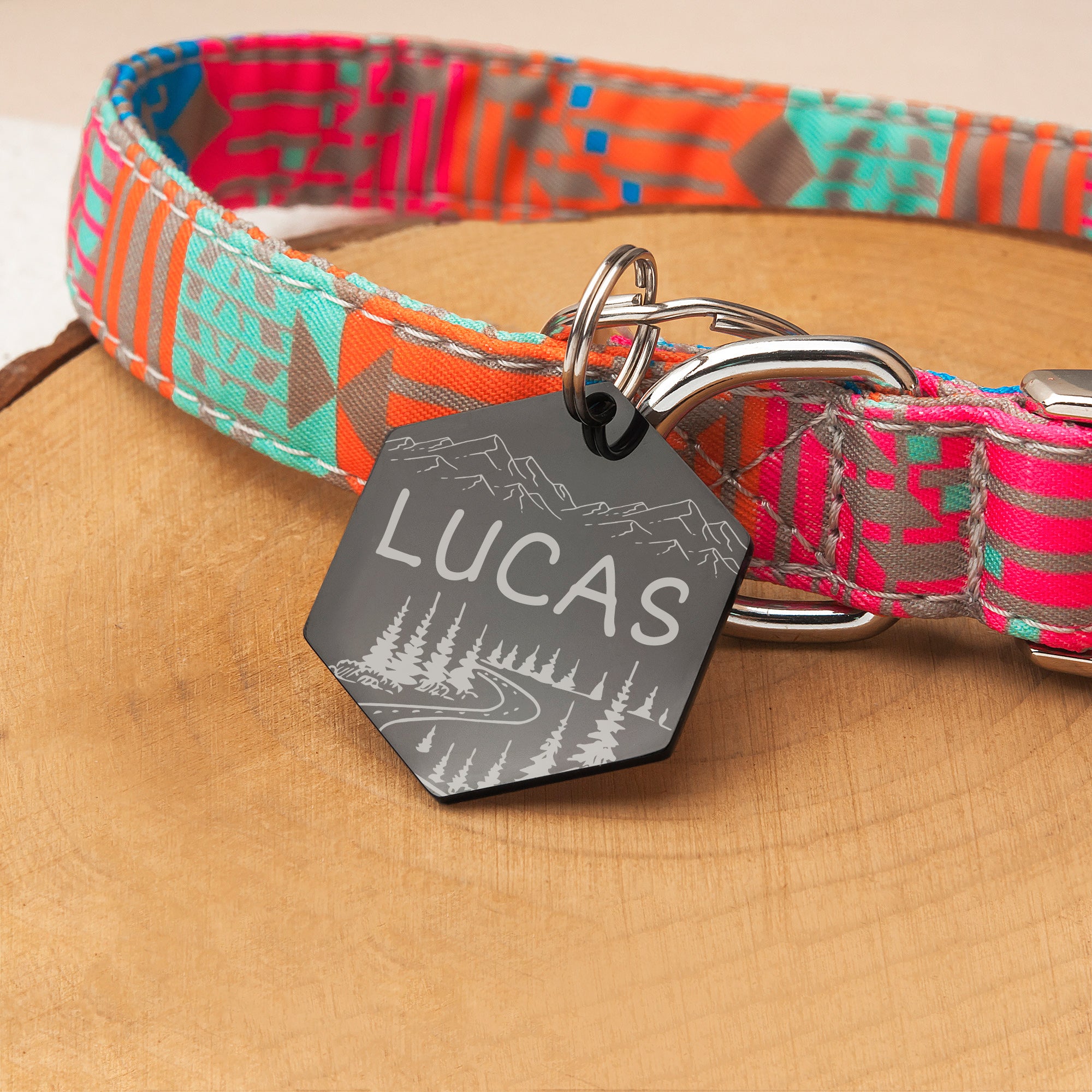 Hexagon Mountain Road  Pet ID Dog Tag