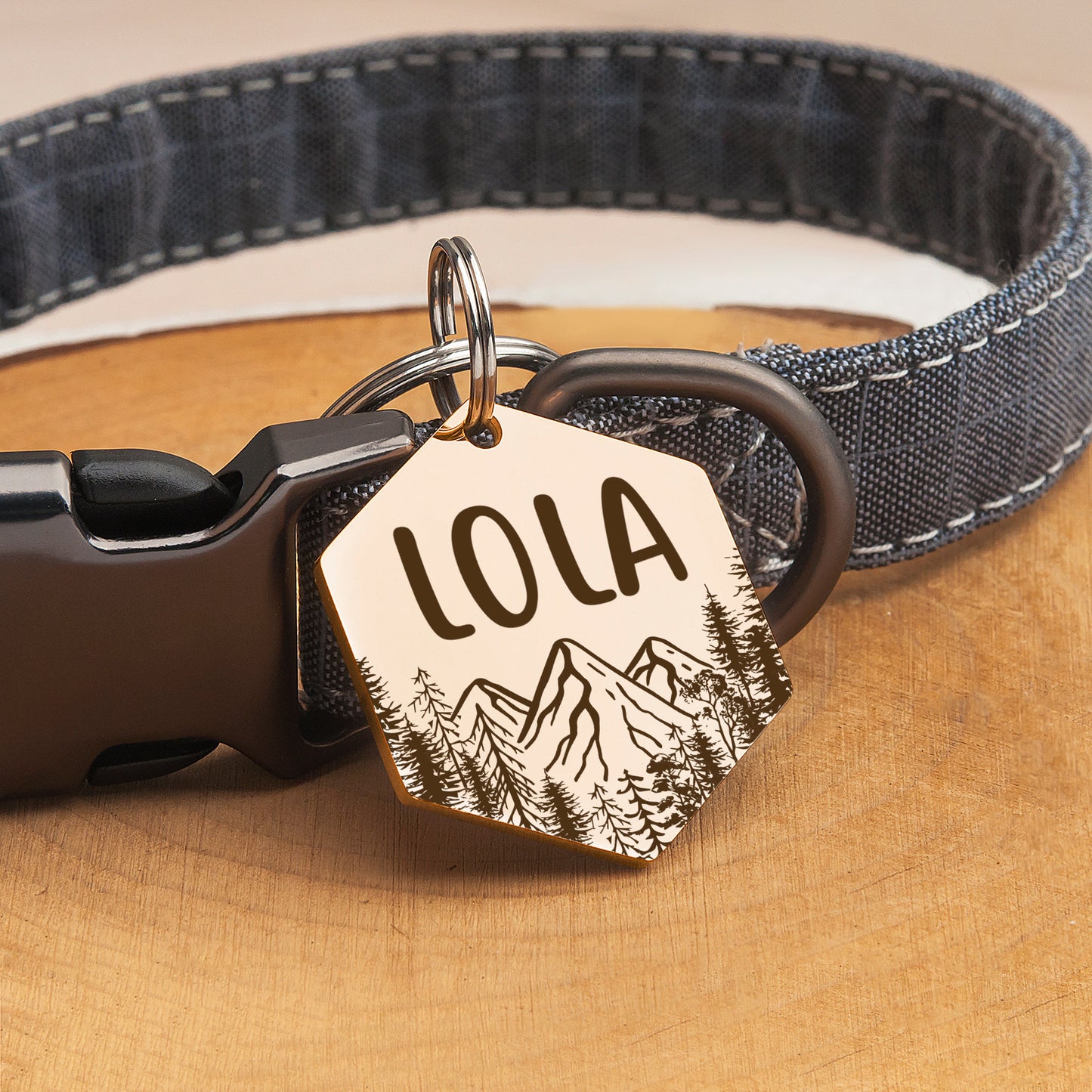 Personalized Mountain Peak Hexagon Shaped Pet ID Dog Tag for Cat or Dog