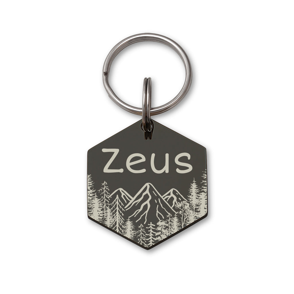 Hexagon Mountain Peak Shaped Pet ID Dog Tag