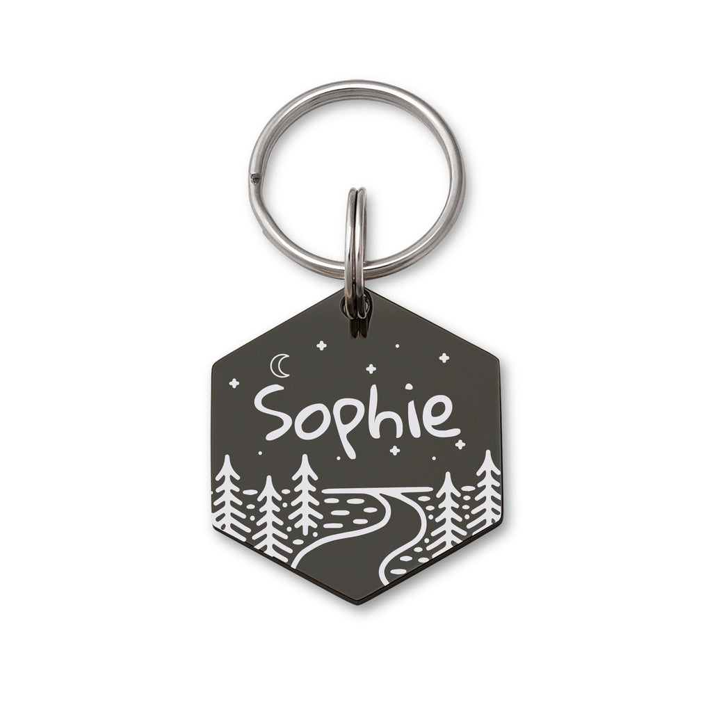 Horizon Line Road Hexagon Shaped Pet ID Tag