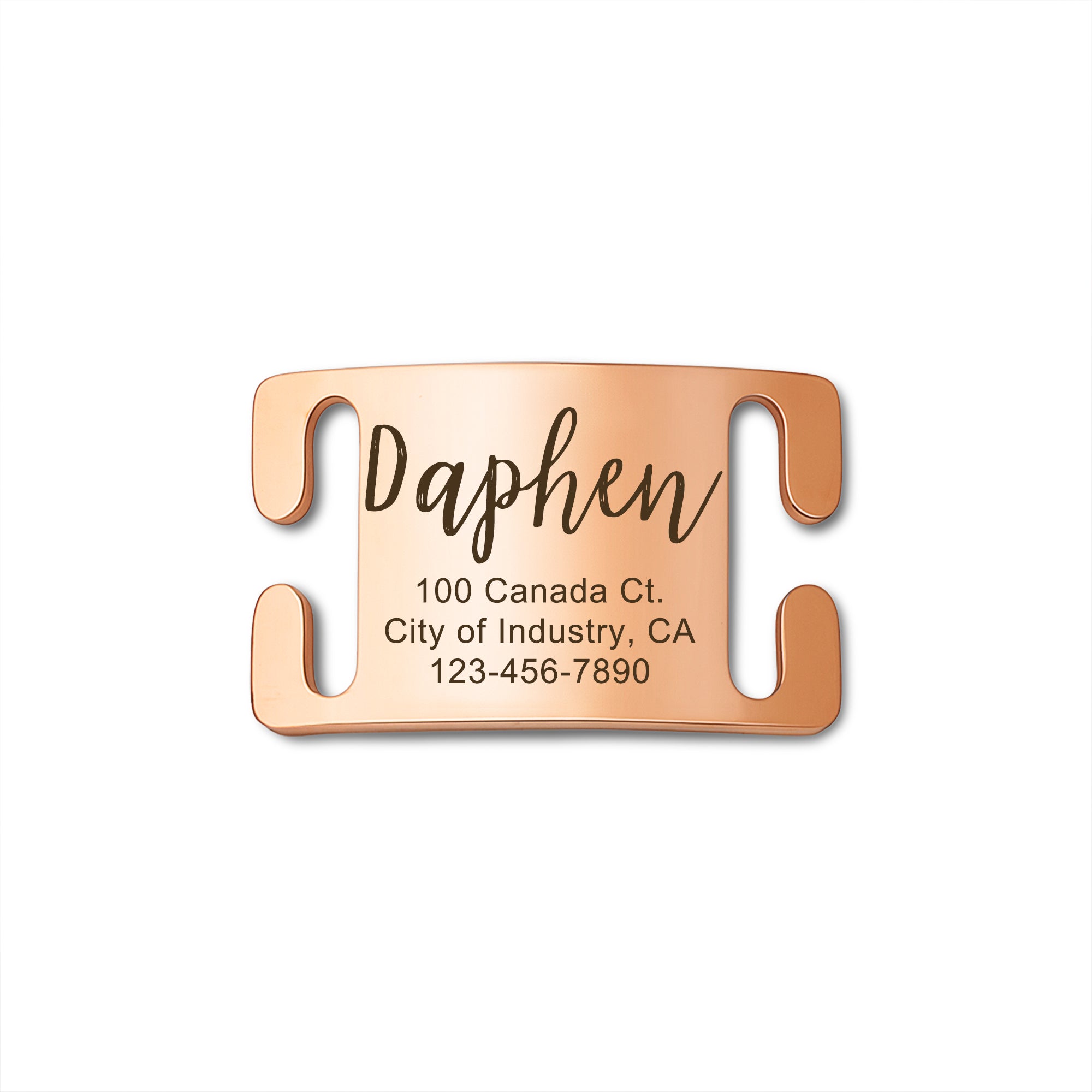 Stainless Steel Silent Slide On Pet Tag