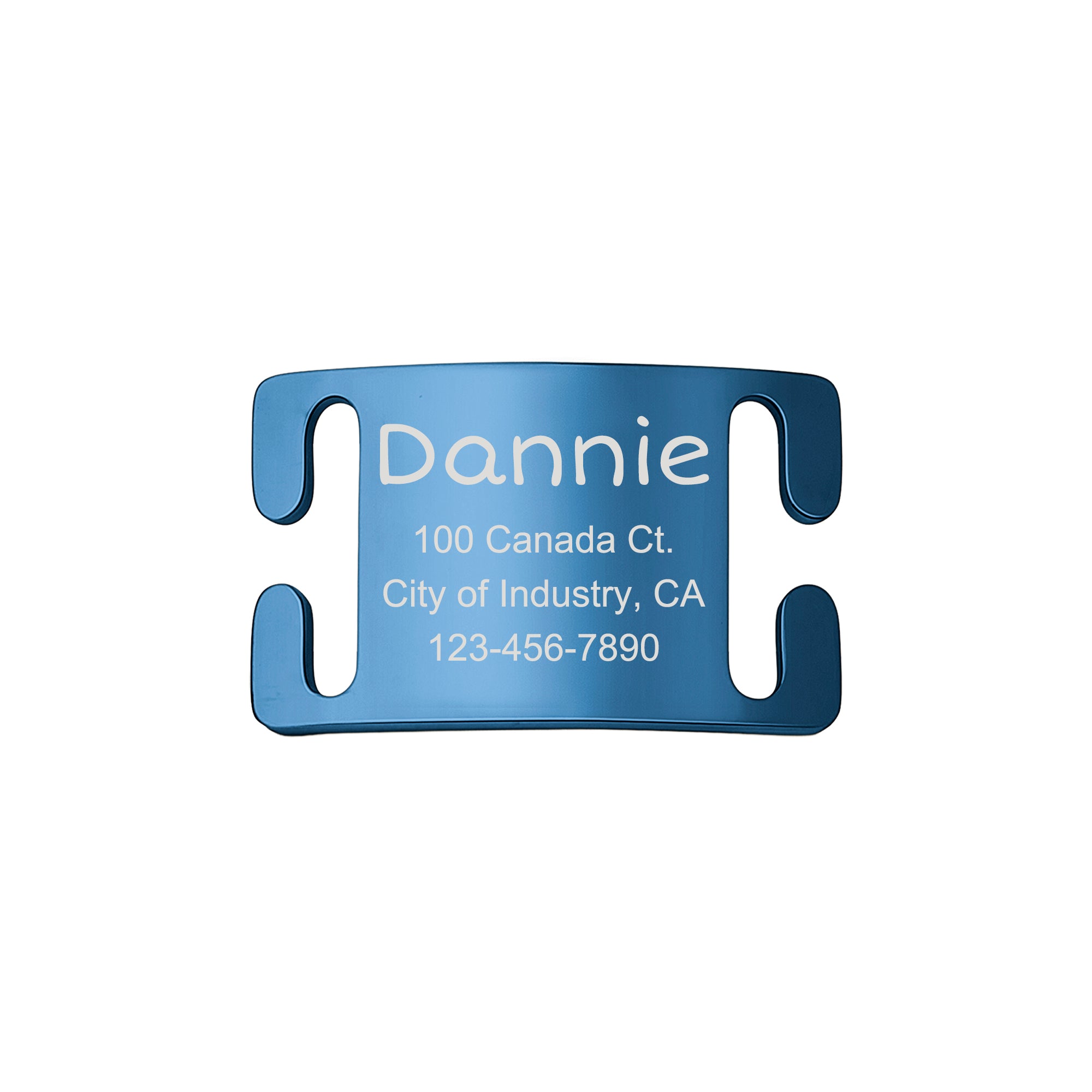 Stainless Steel Silent Slide On Pet Tag