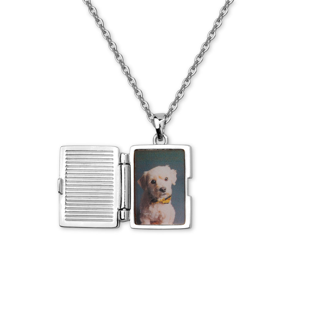 Pet Picture Locket Style Picture Necklace