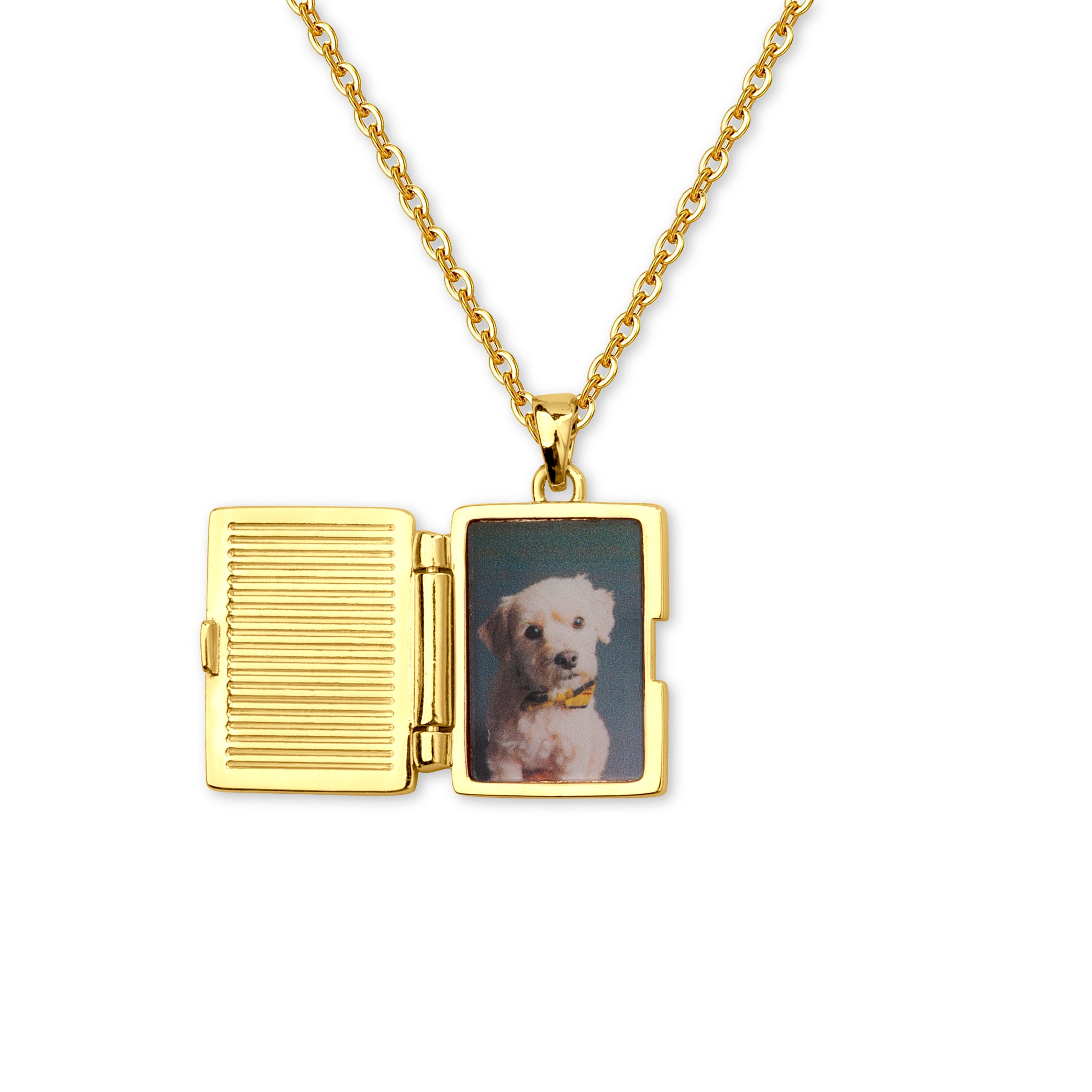 Pet Picture Locket Style Picture Necklace