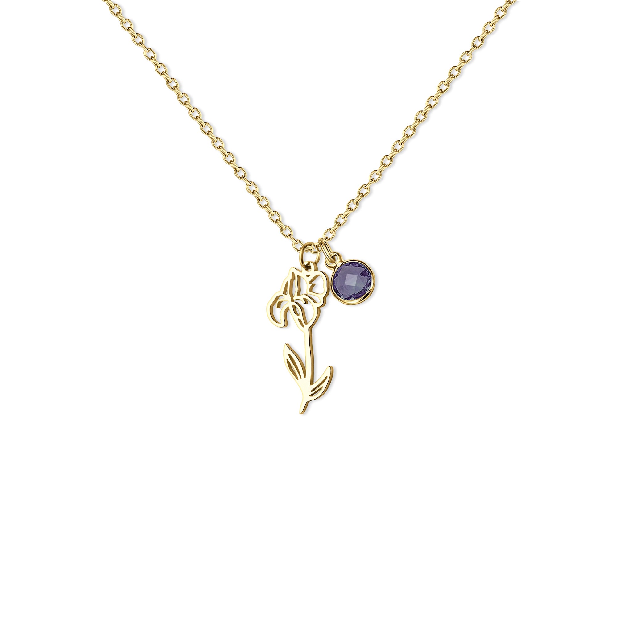 Stainless Steel Birth Flower and Birthstone Charm Necklace