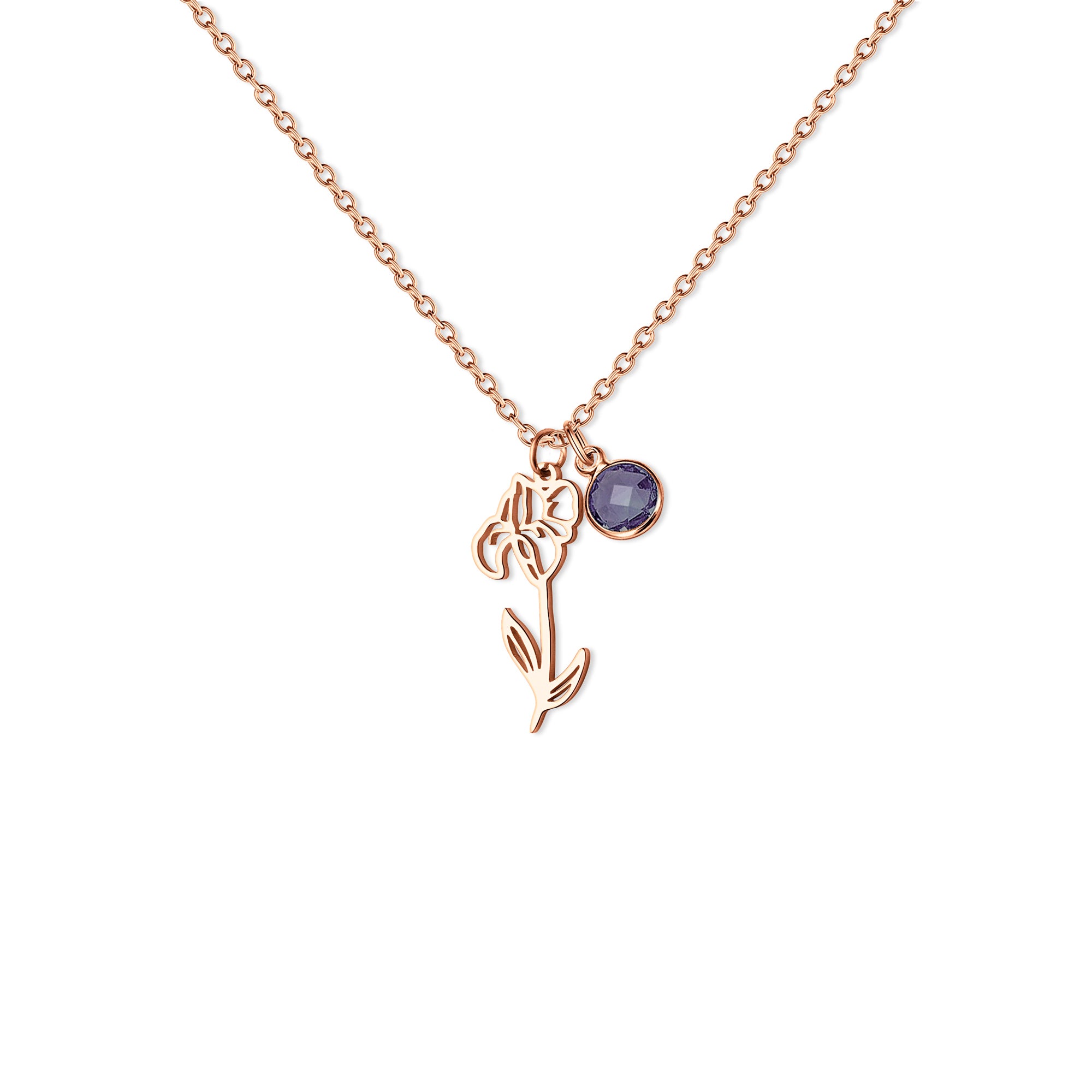 Stainless Steel Birth Flower and Birthstone Charm Necklace