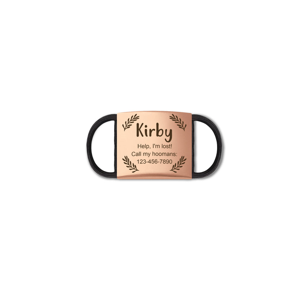 Frame and Pet's Name Fabric Slide On Pet Tag