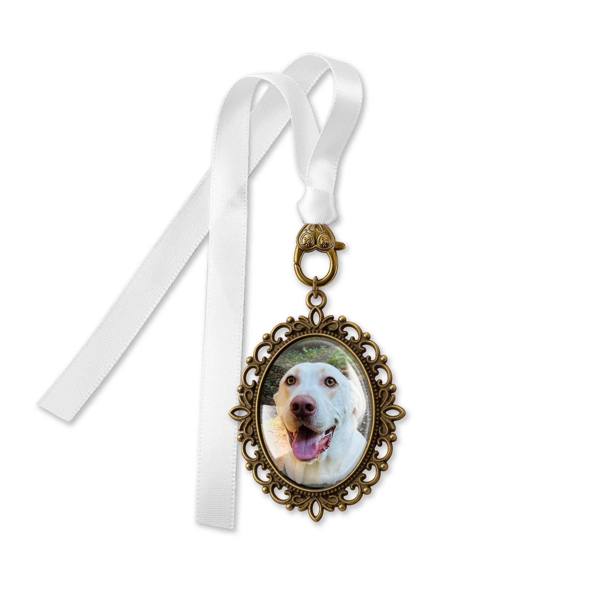 Oval Graduation Resin and Ribbon Brooch