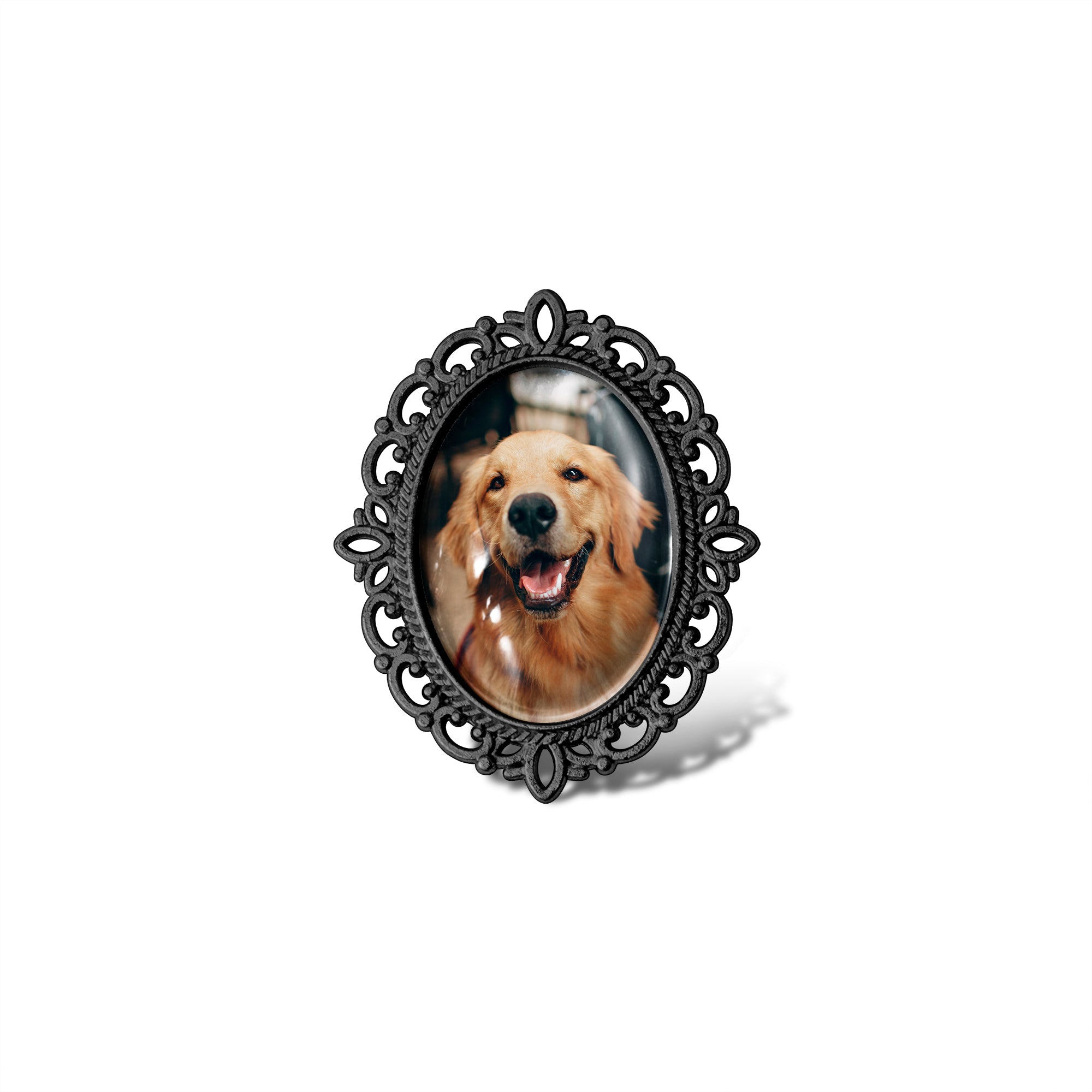 Vintage Oval Resin Pet Photo Brooch