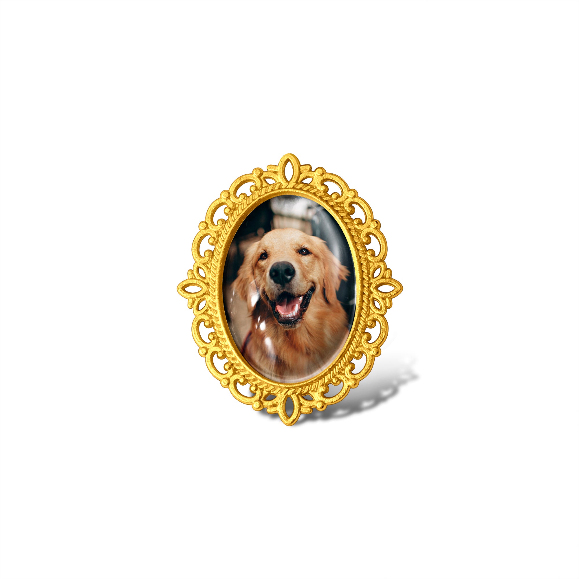 Vintage Oval Resin Pet Photo Brooch
