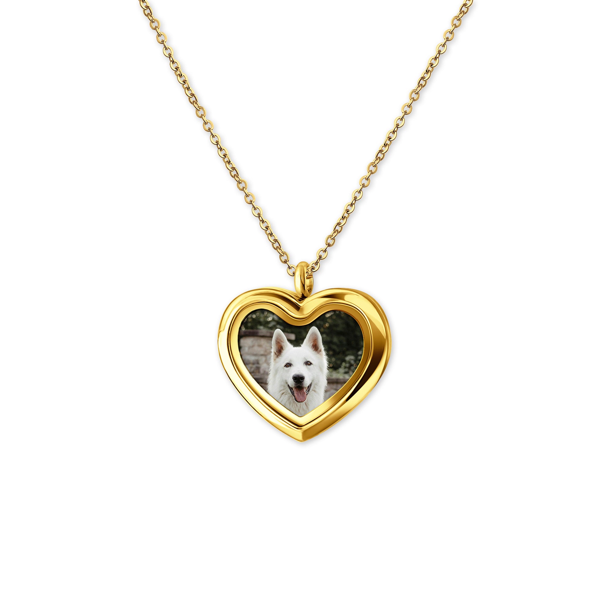 Glass Heart Photo Locket Pet Necklace
