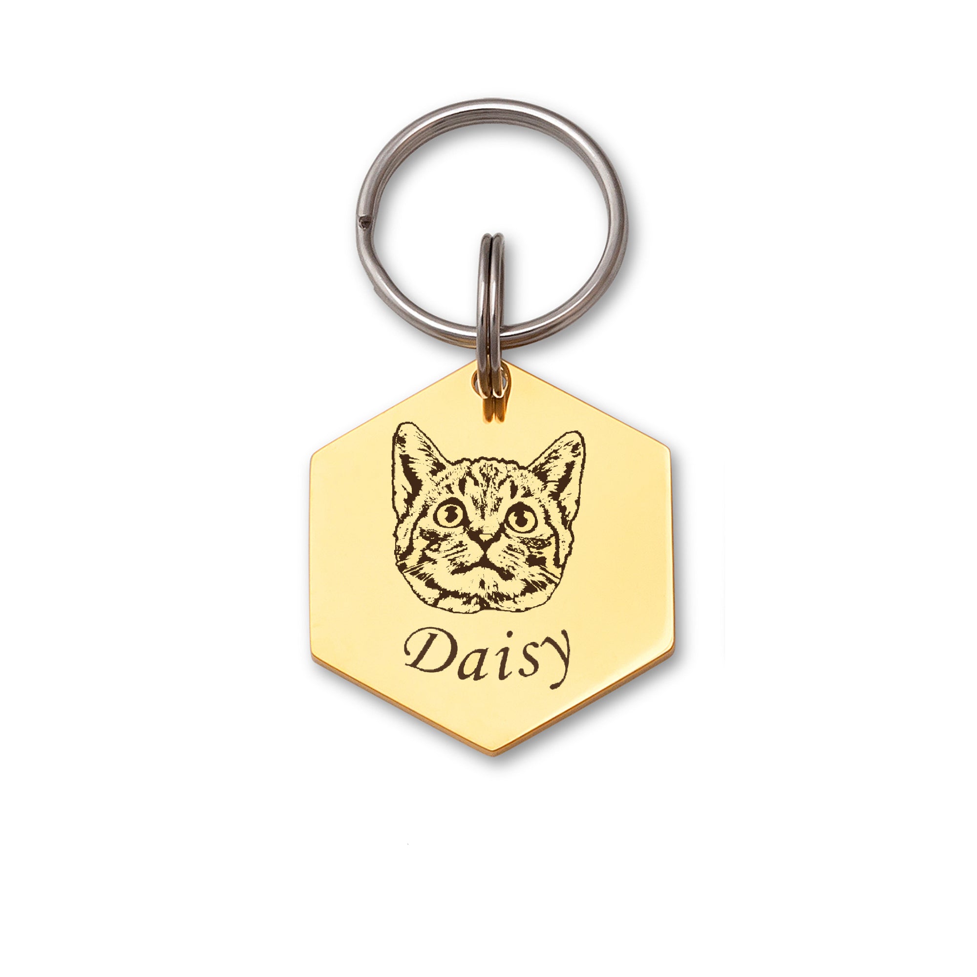 Hexagon Pet Portrait Dog ID Pet Tag