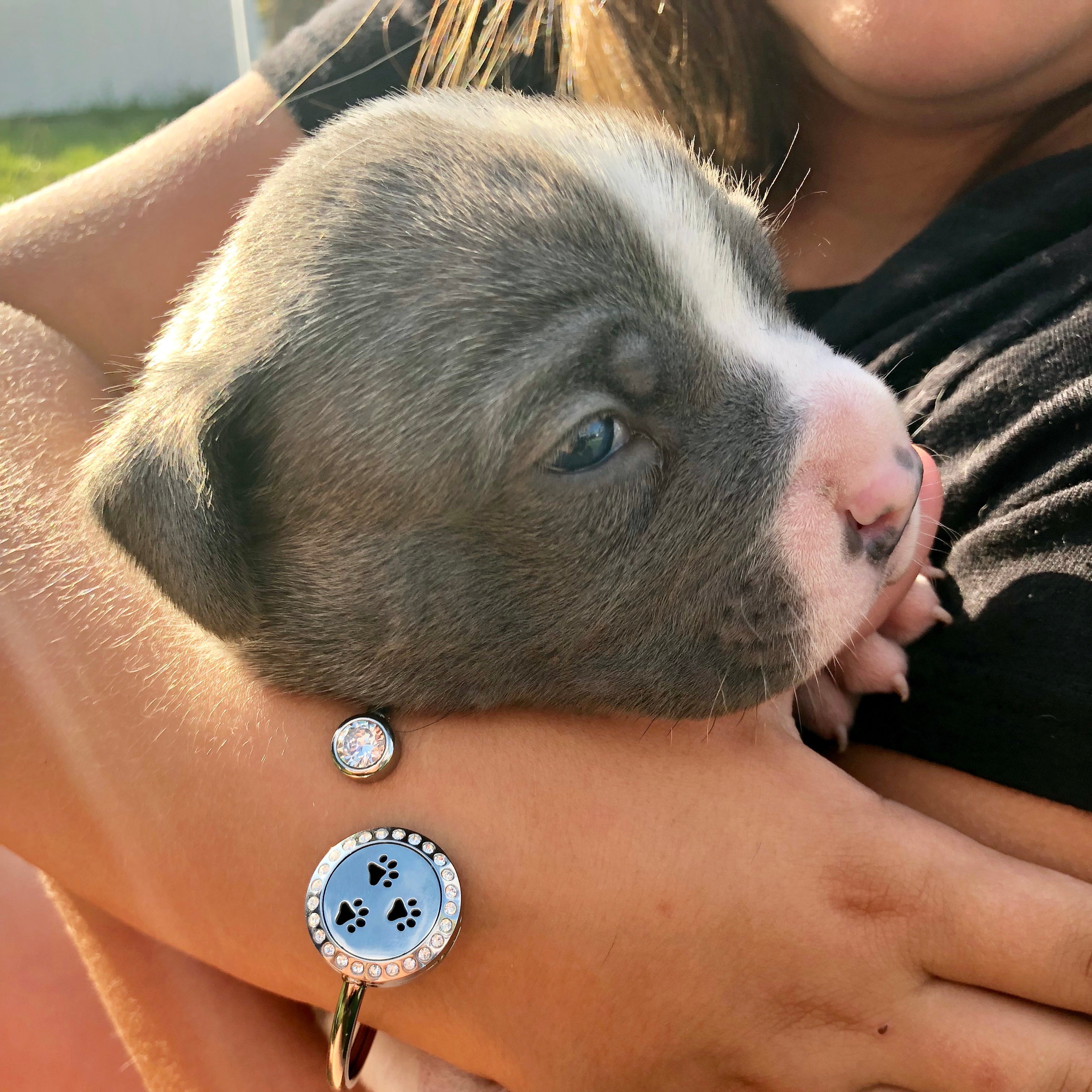 Paw Print Aromatherapy Essential Oil Twistable Bangle