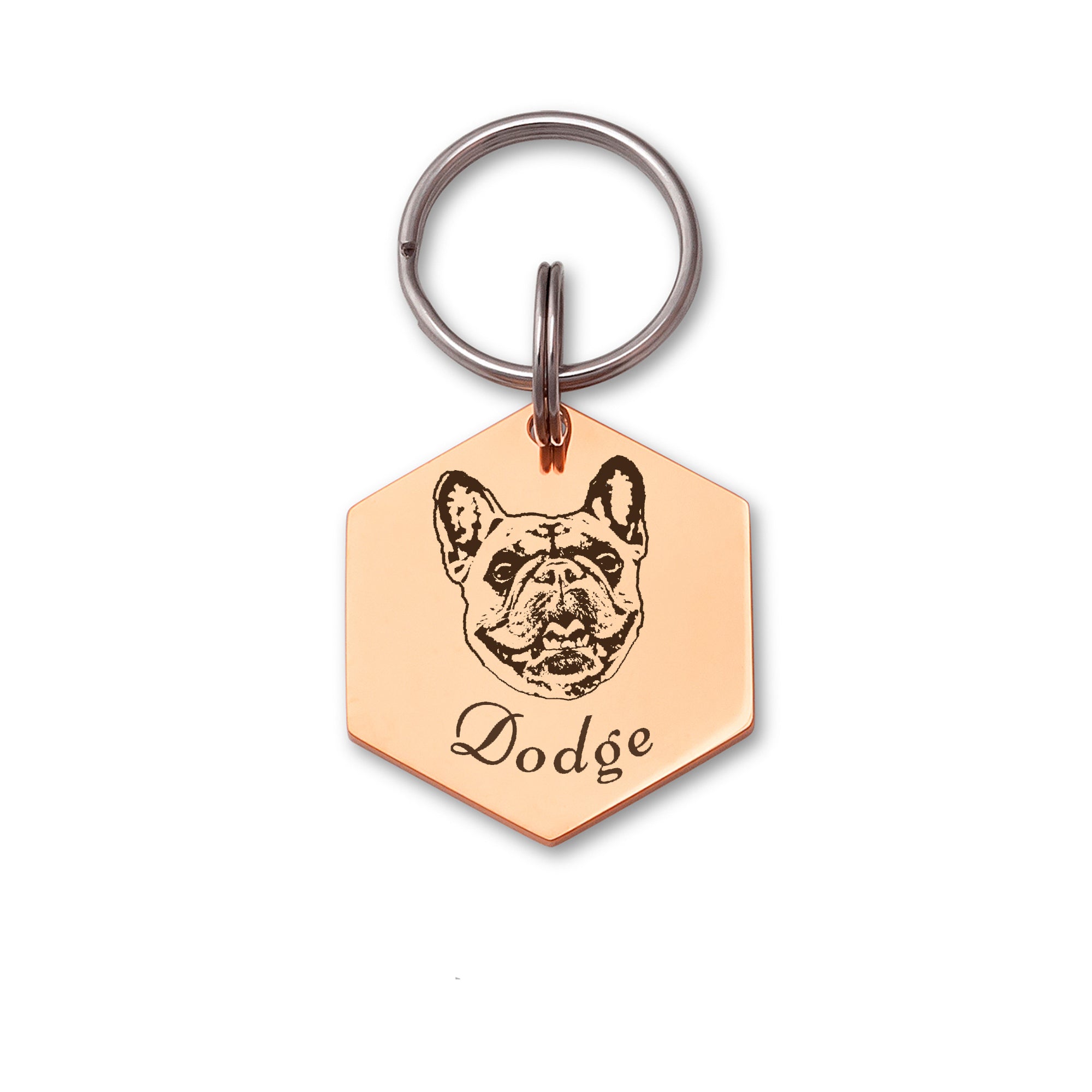 Hexagon Pet Portrait Dog ID Pet Tag