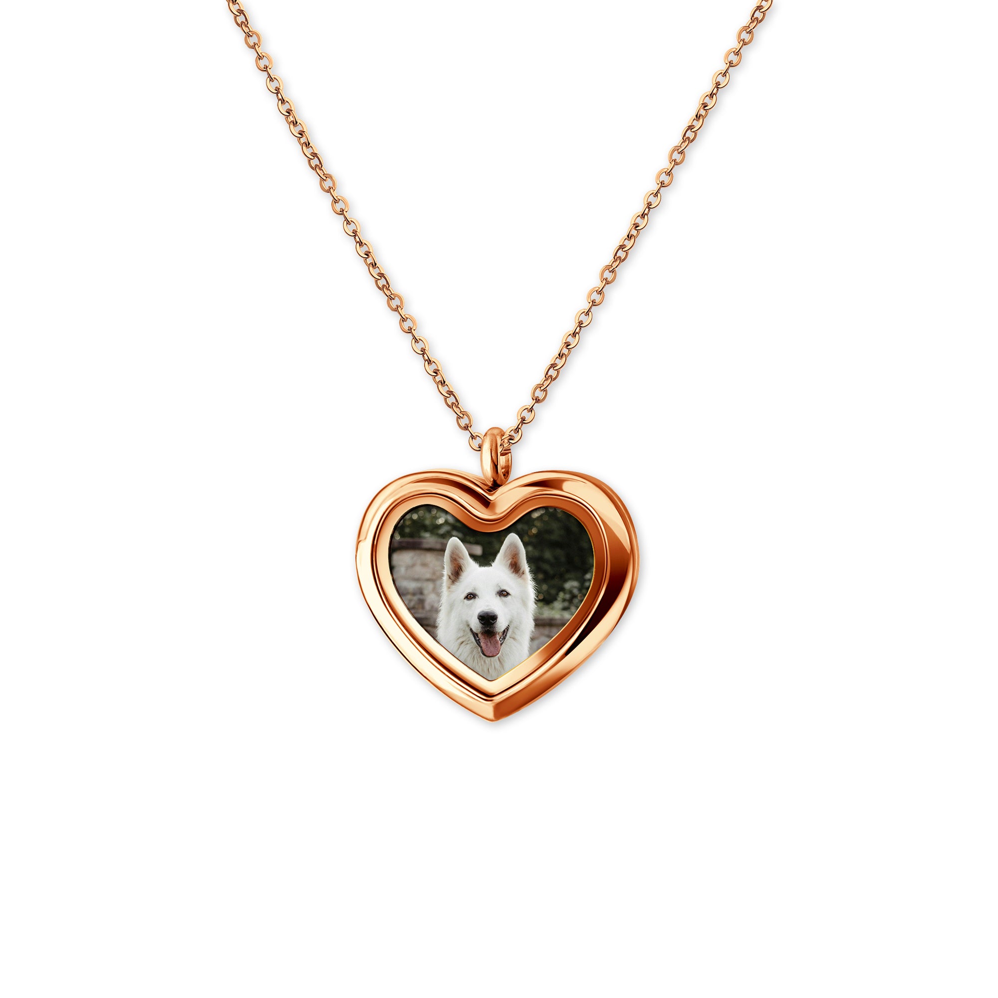 Glass Heart Photo Locket Pet Necklace