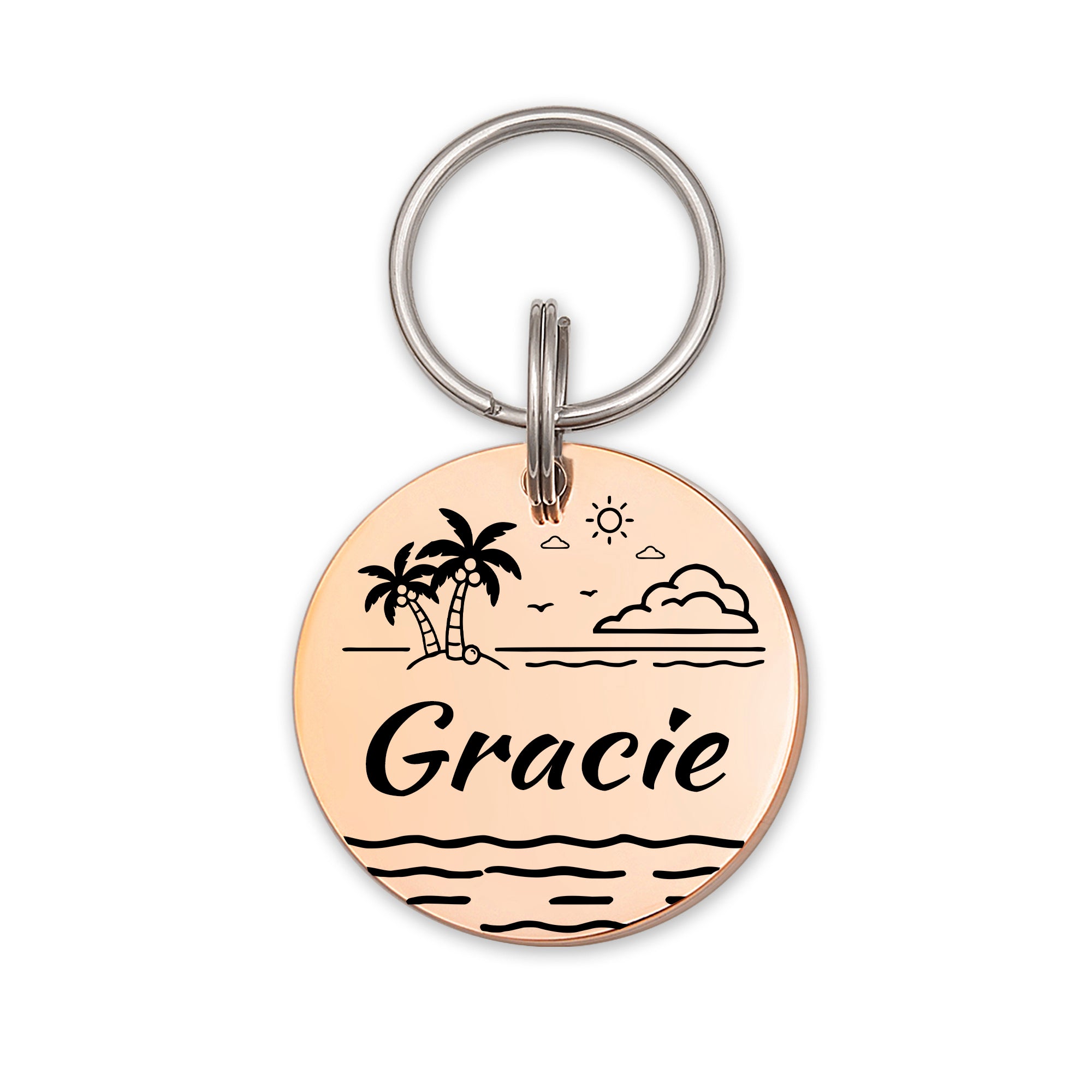 Personalized Round Stainless Steel Pet ID Tag