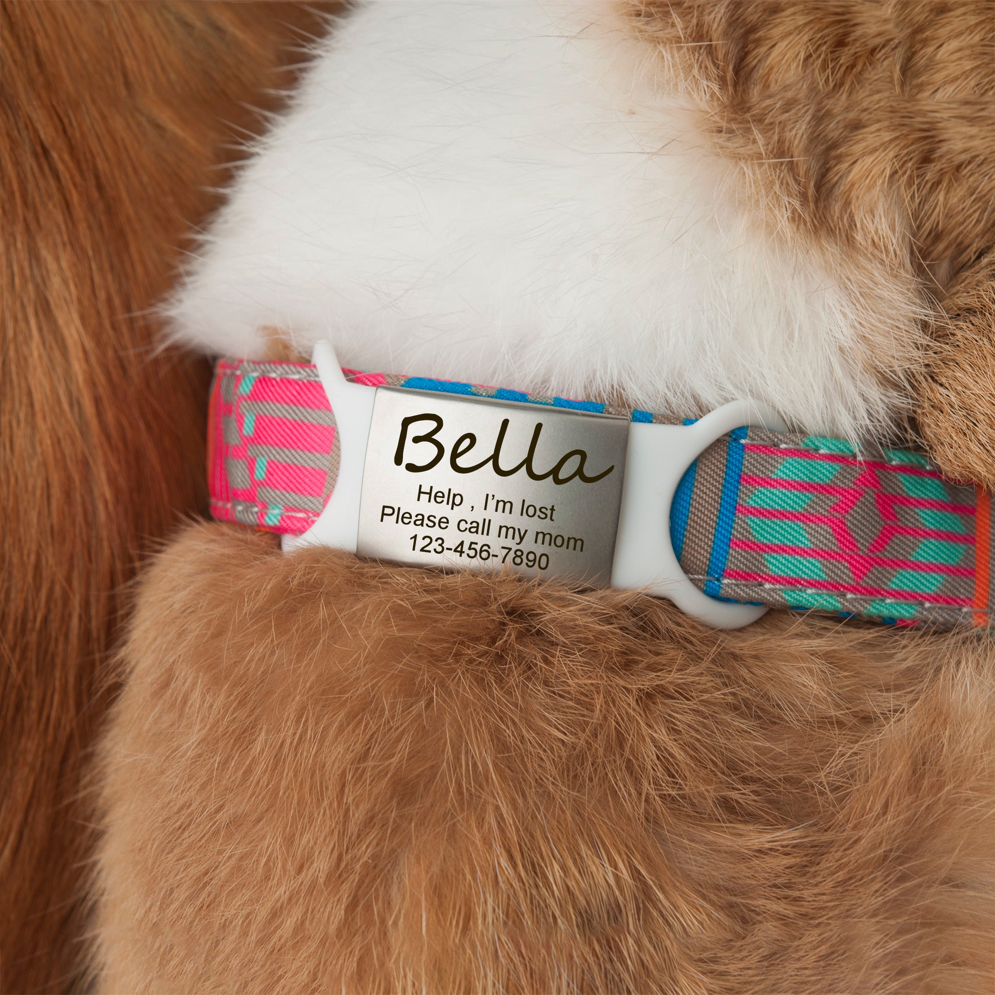 Silicon Slide On Pet Tag