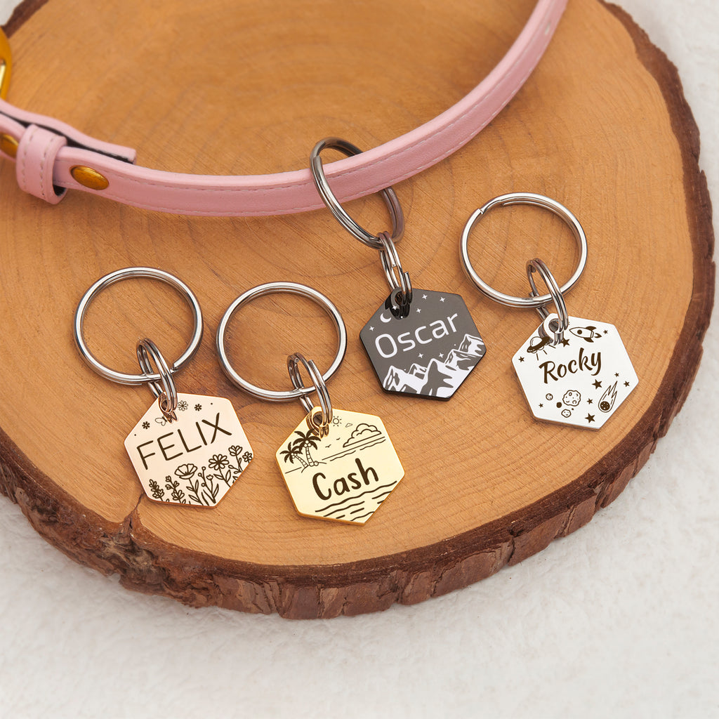 Personalized Hexagon Stainless Steel Pet ID Tag