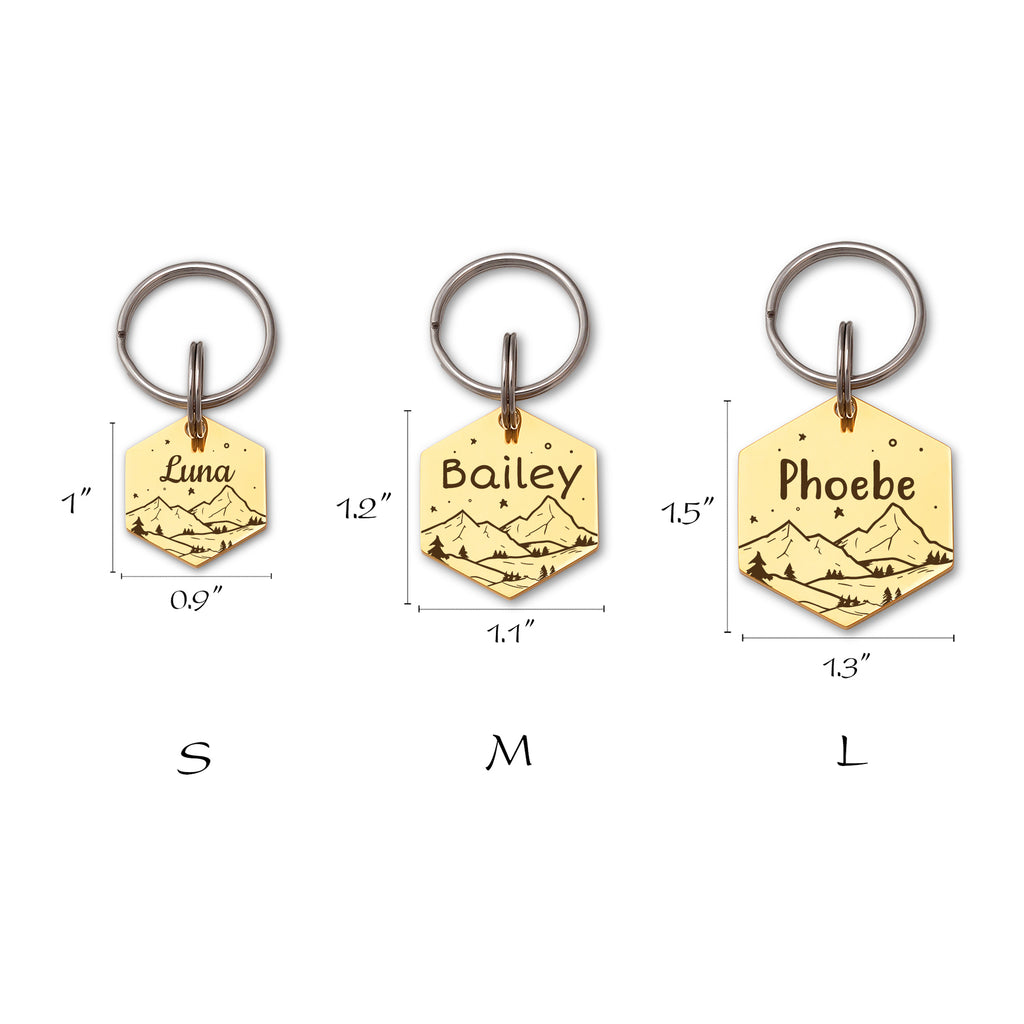 Mountain Starry Sky Hexagon Pet ID Dog Tag