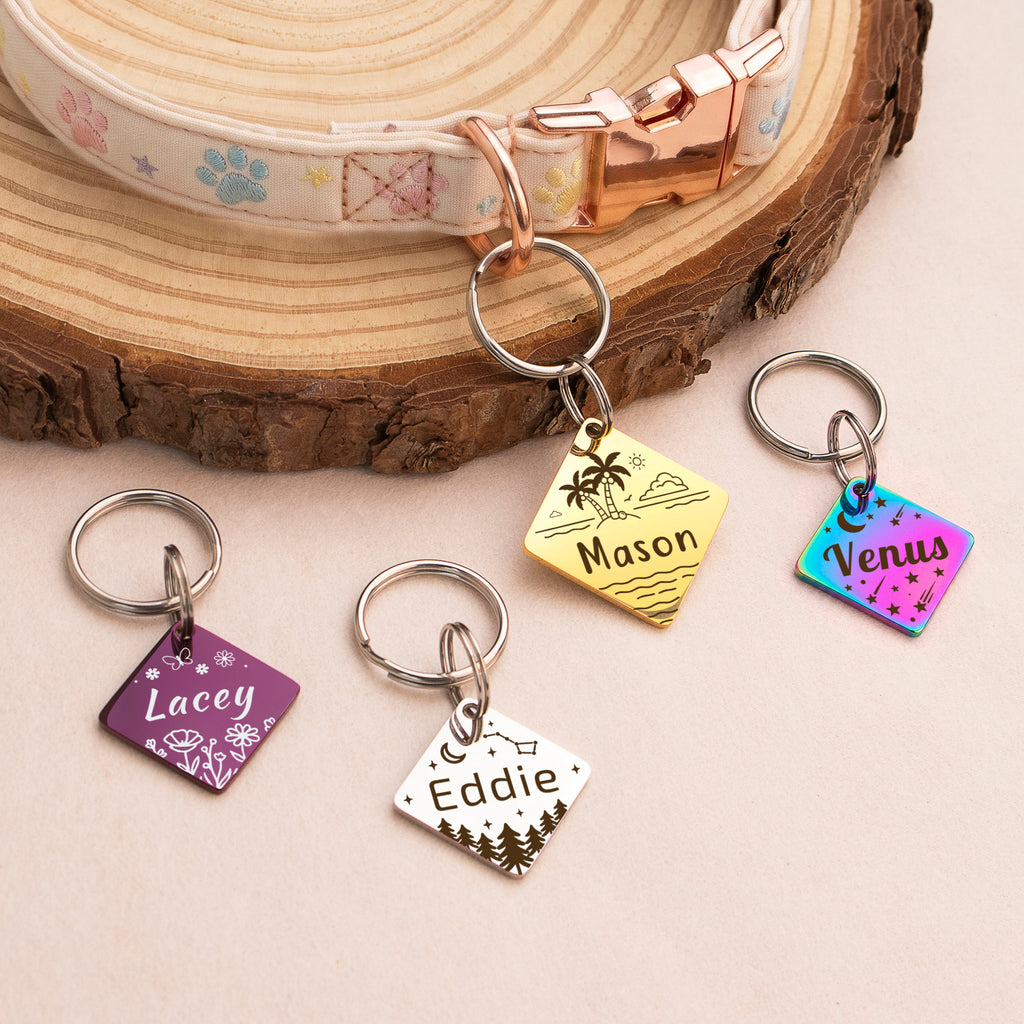 Personalized Diamond Stainless Steel Pet ID Tag