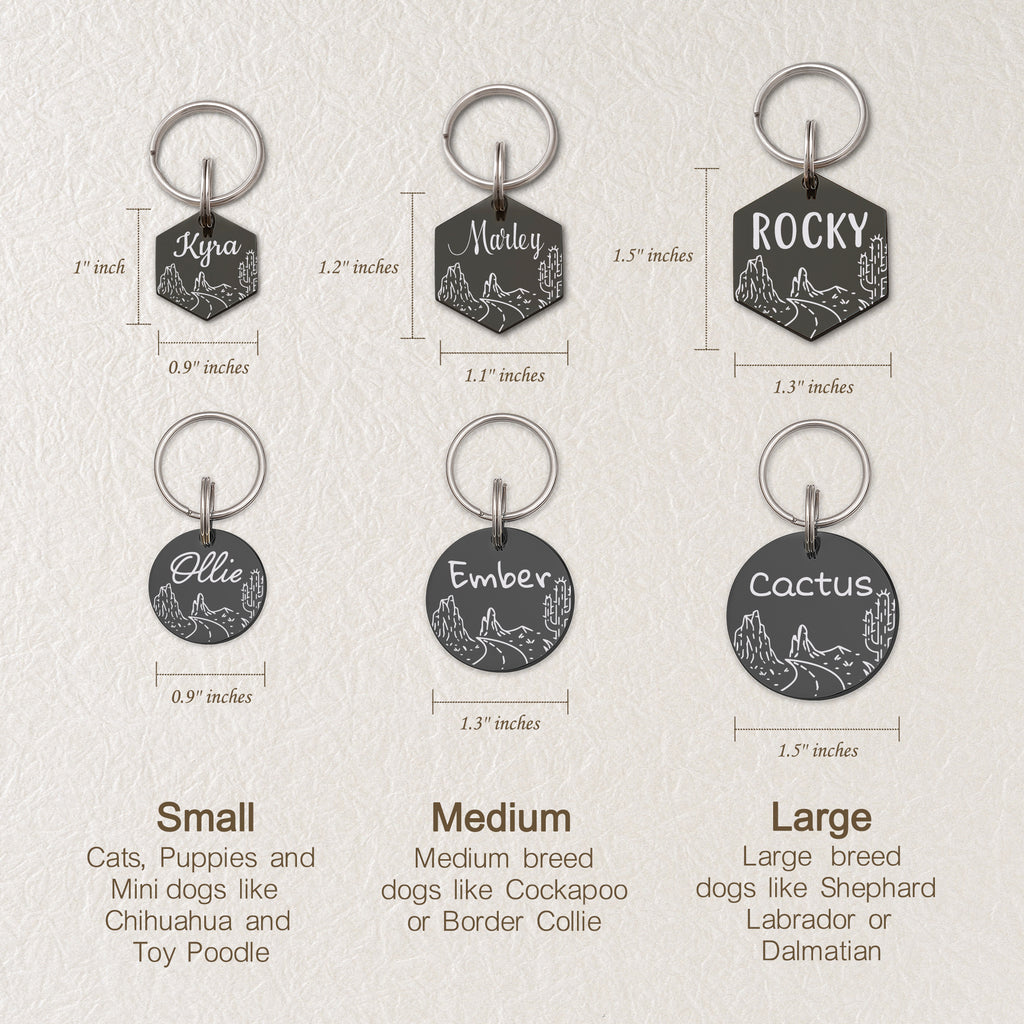 Rocky Road Cactus Hexagon Pet ID Dog Tag